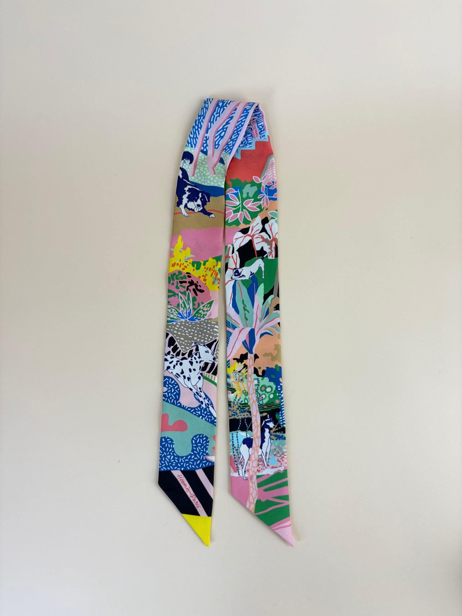 Hermes Multicolor Silk Twilly