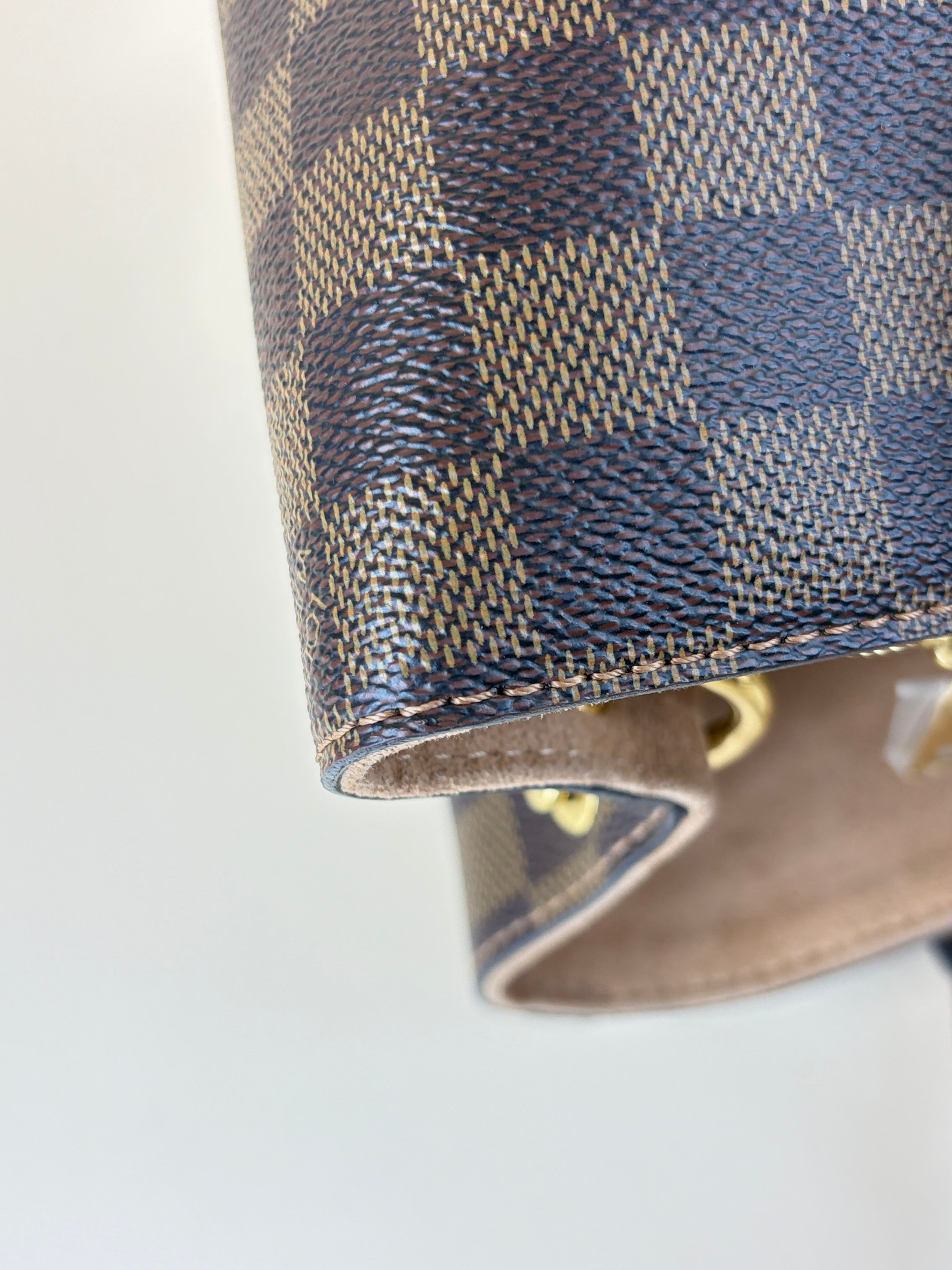 Louis Vuitton Damier Ebene Brown LV Riverside Tote Bag