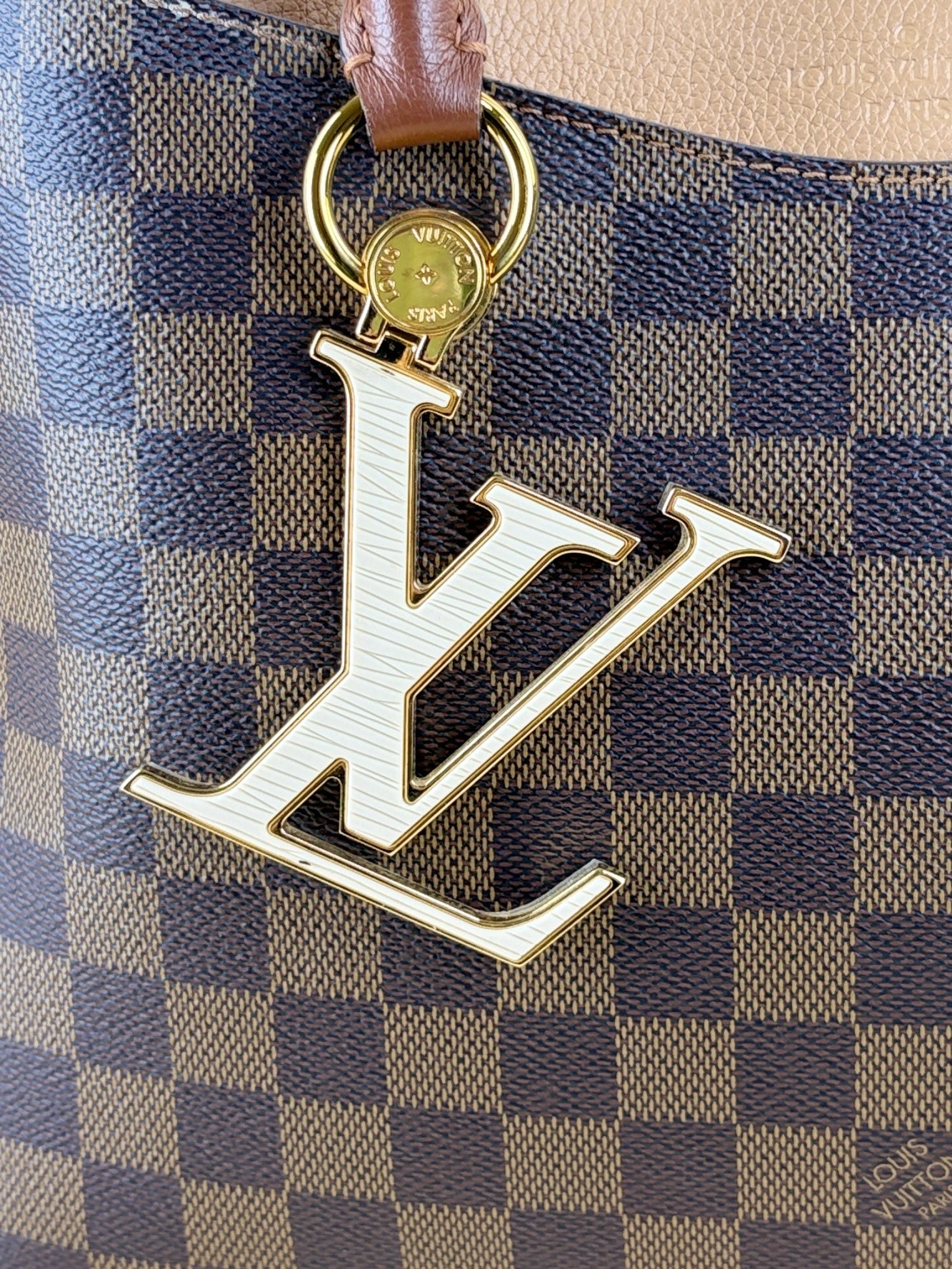 Louis Vuitton Damier Ebene Brown LV Riverside Tote Bag