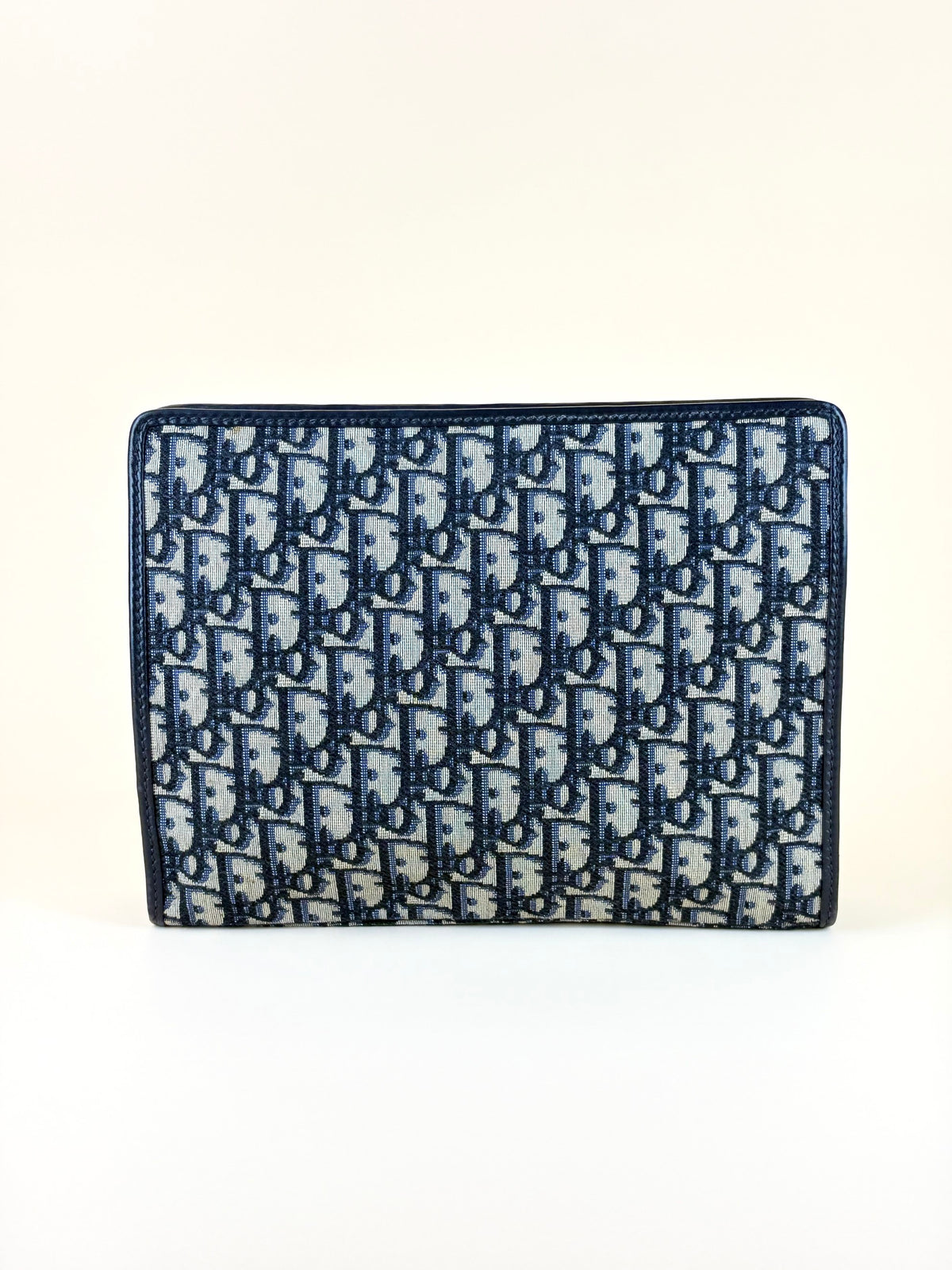 Dior Montaigne dea pouch