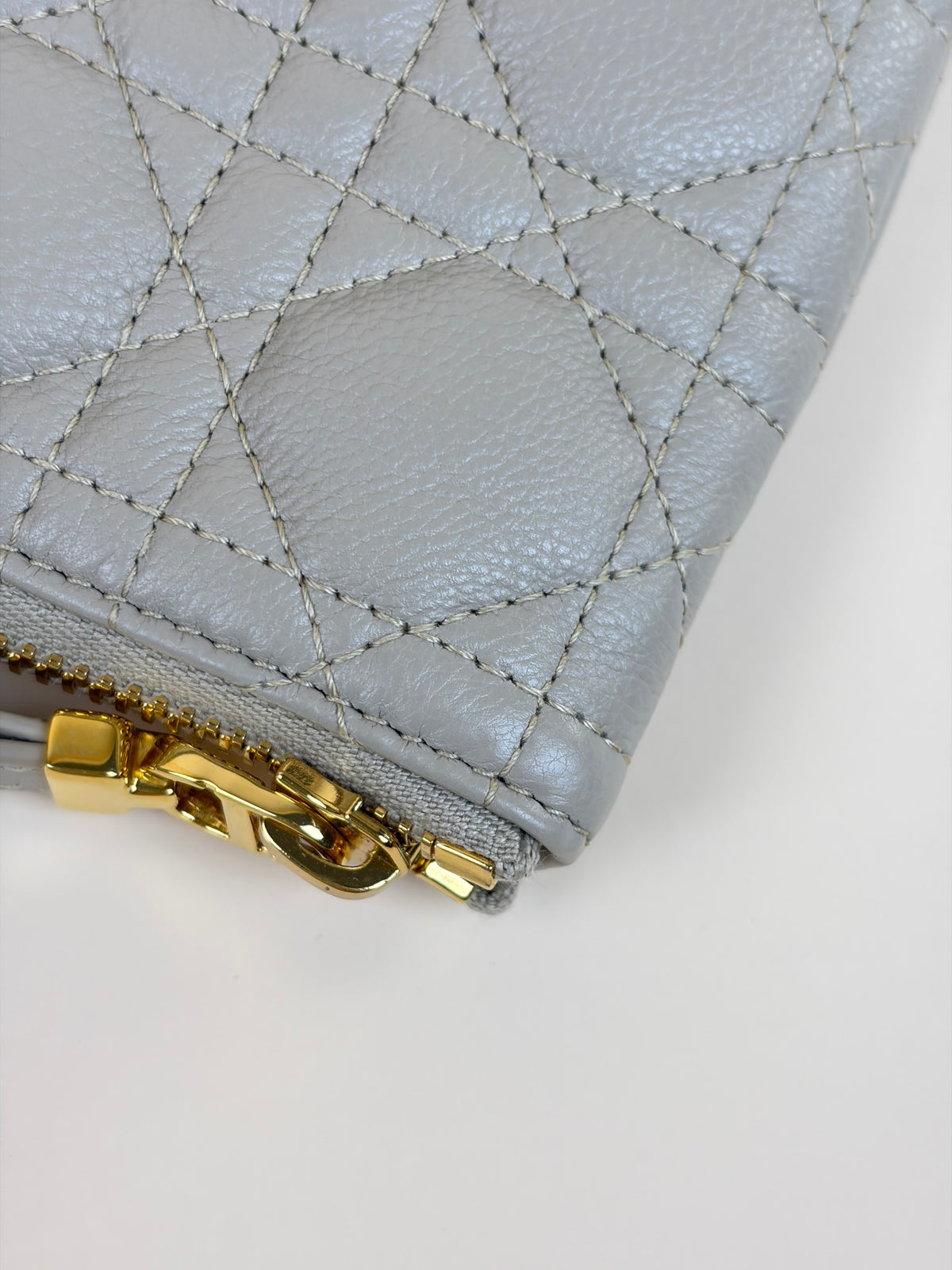Dior caro daily large pouch Pouder beige