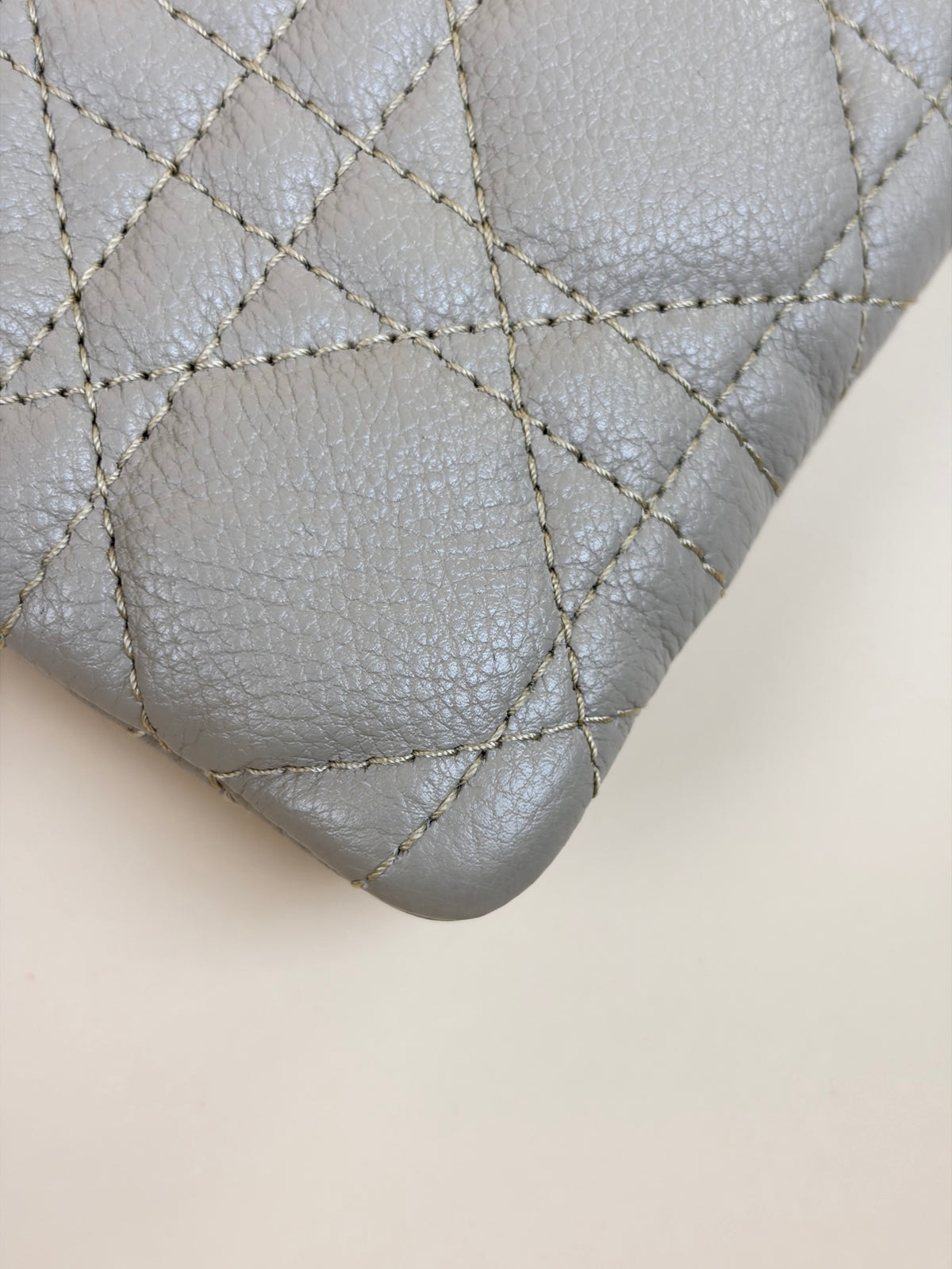 Dior caro daily large pouch Pouder beige