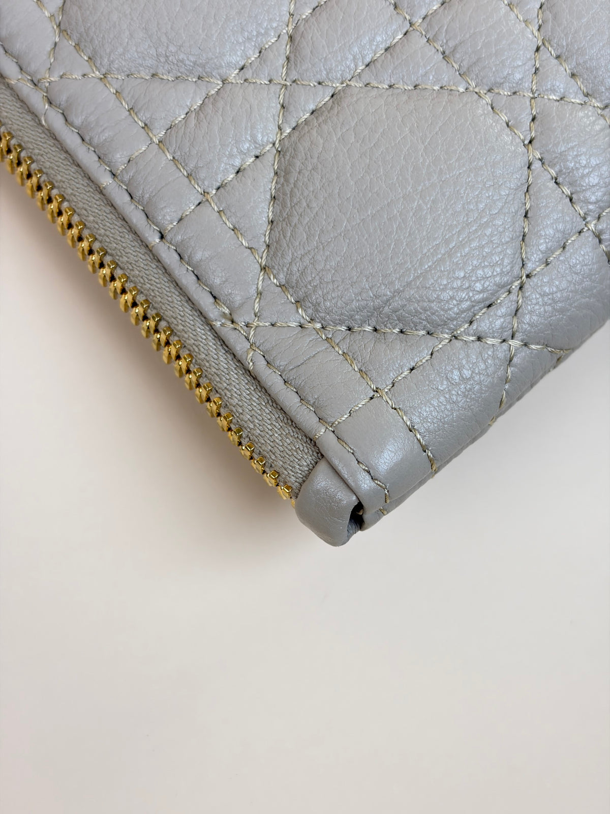 Dior caro daily large pouch Pouder beige