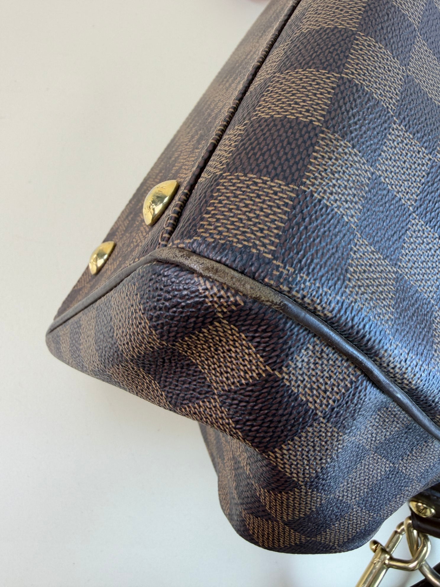 Louis Vuitton Damier Ebene Trevi gM Bag