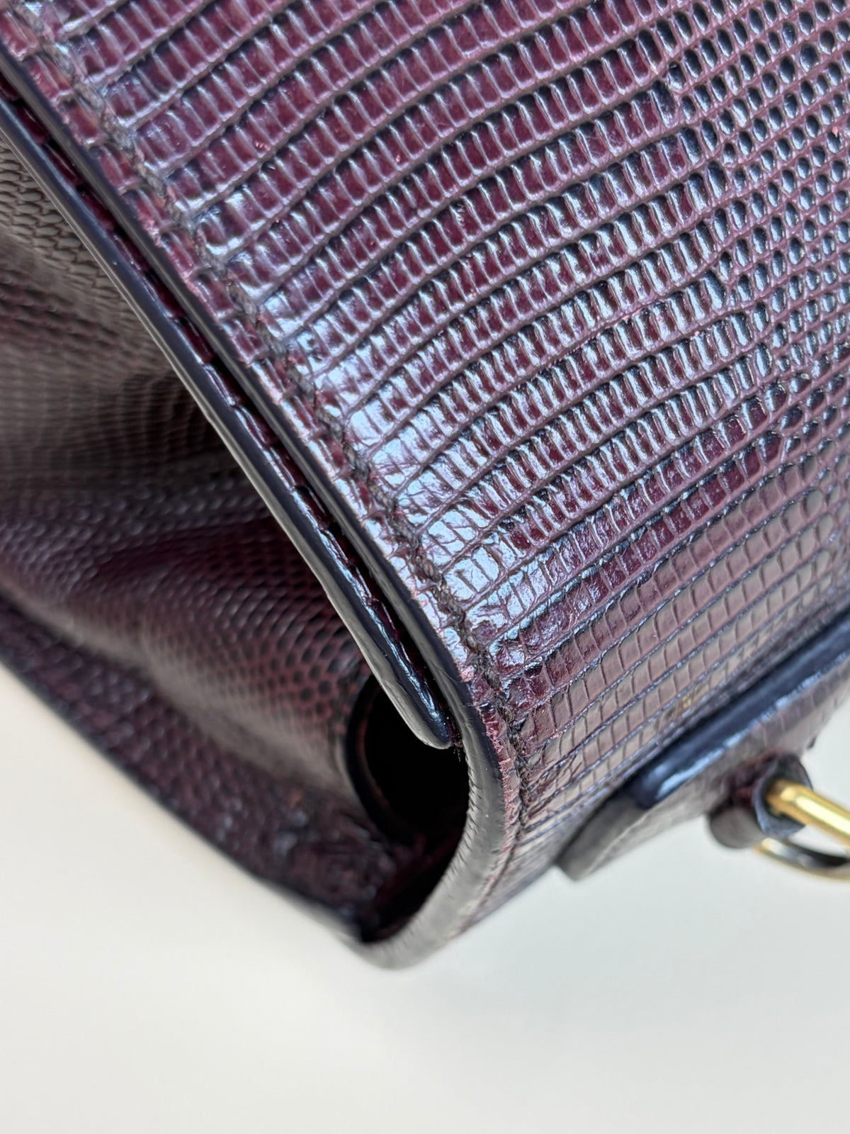 Dolce & Gabbana lizard calfskin embossed medium Monice