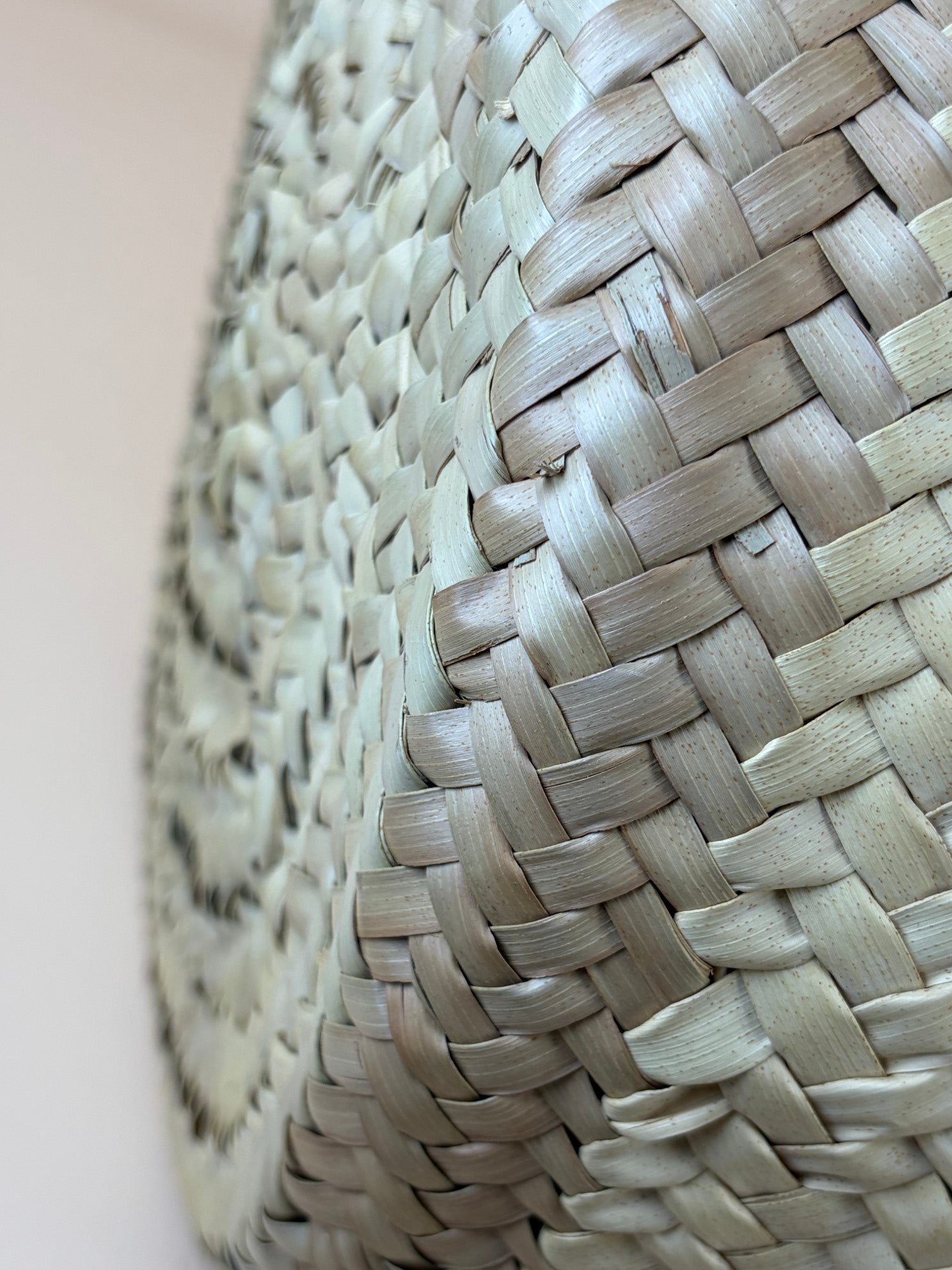 Dolce & Gabbana straw Kendra Baci wove in beige tote bag