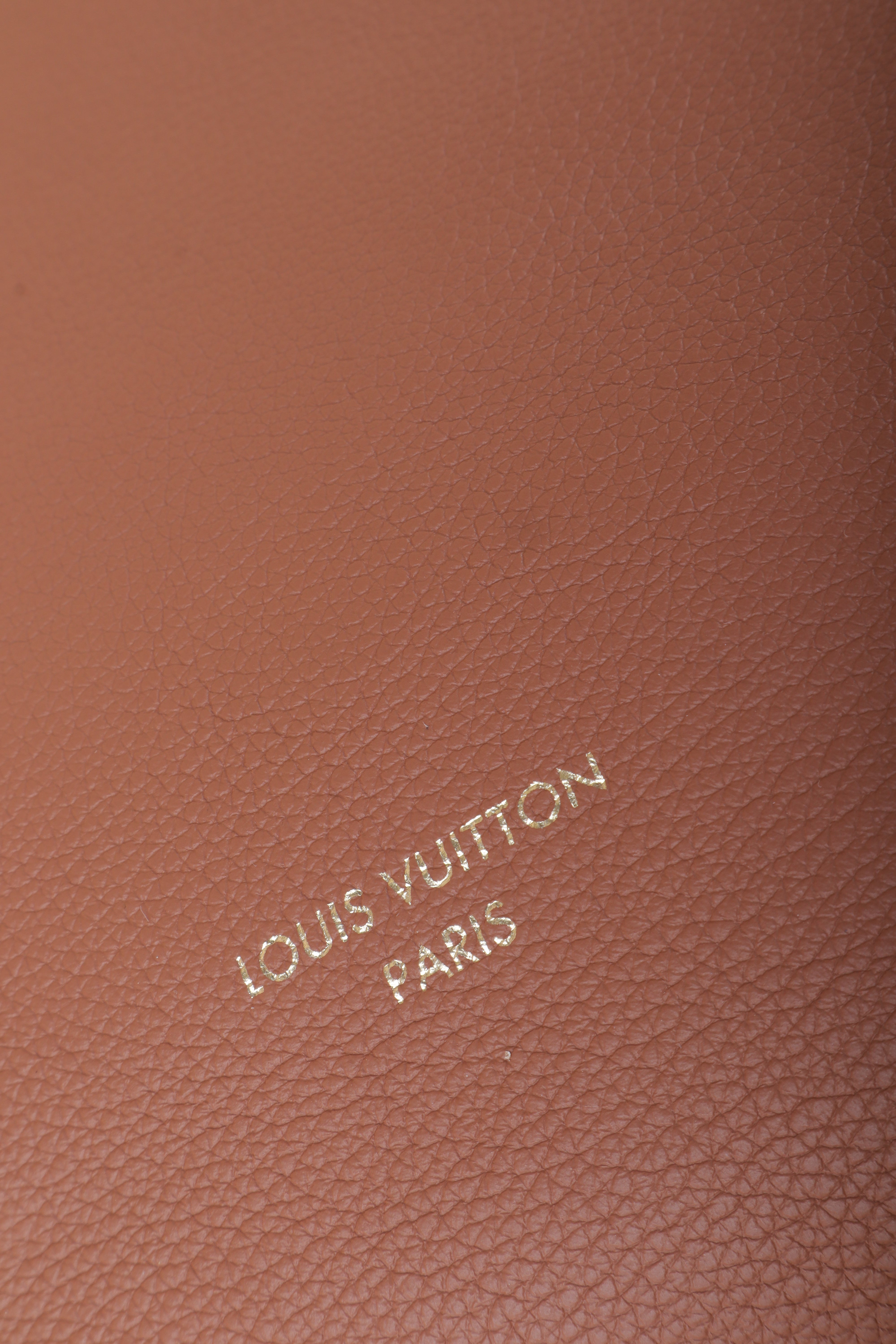 LOUIS VUITTON low key cabas cognoc mm