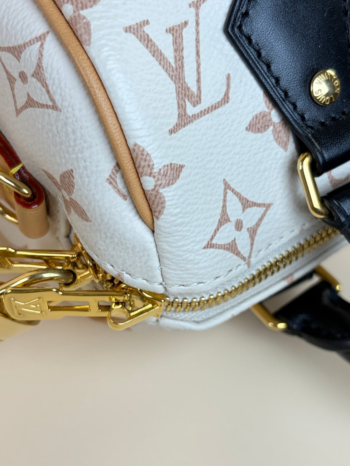 Louis Vuitton monogram dune speedy bandouliere 20