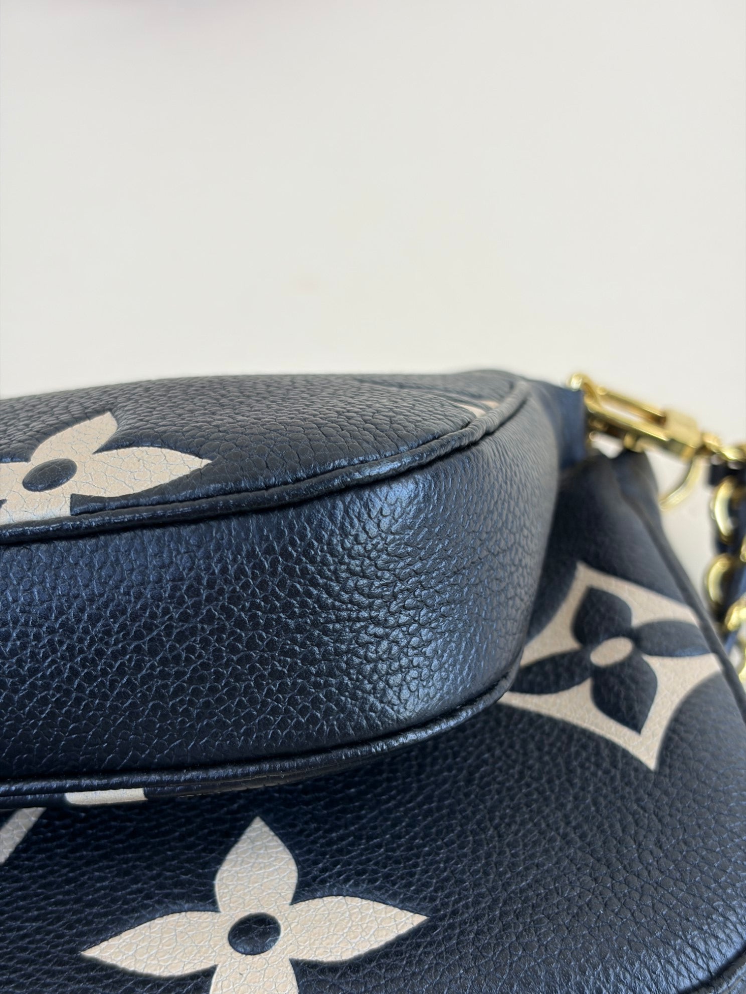 Louis Vuitton Bicolor Monogram Multi Pochette