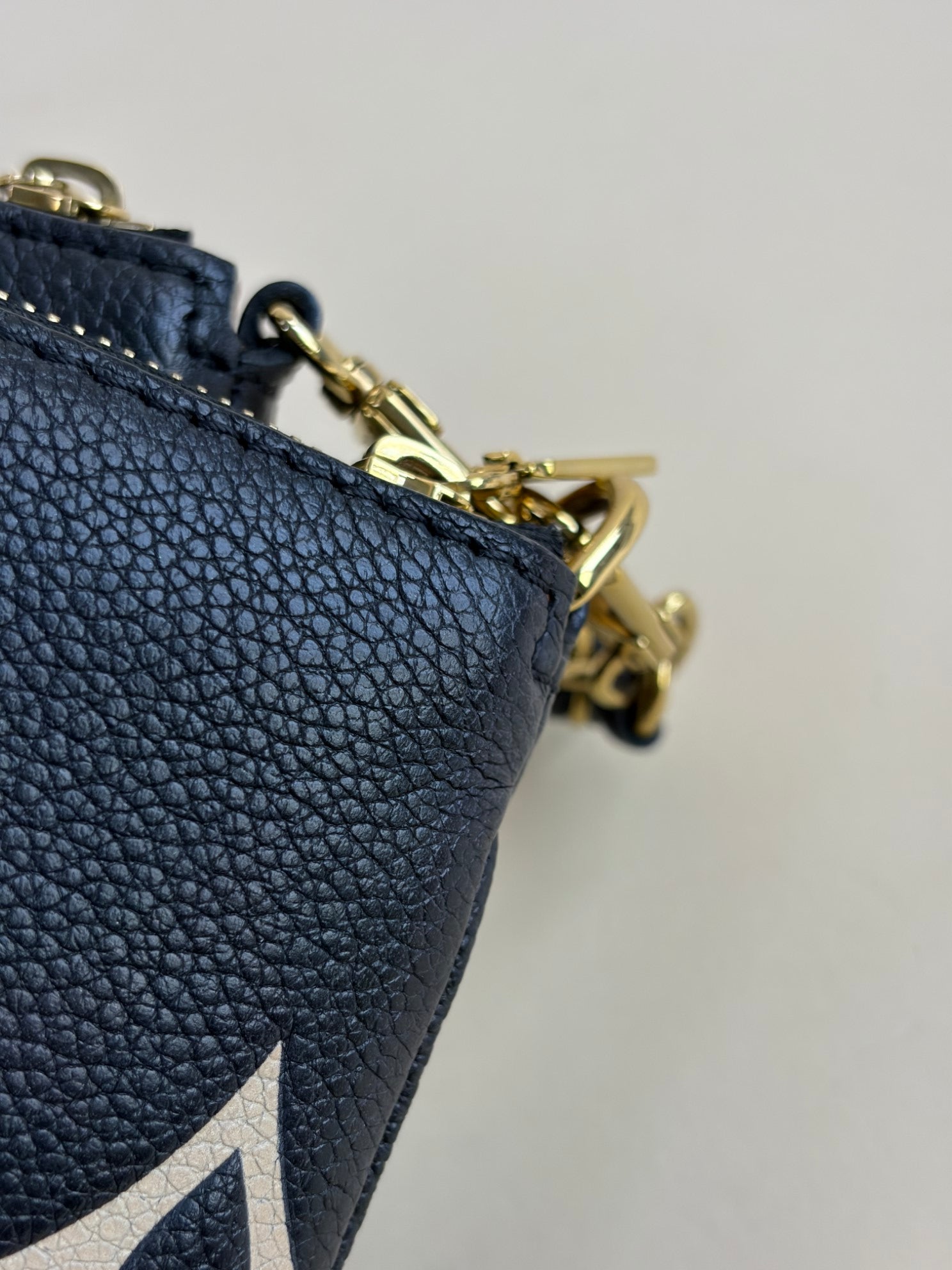 Louis Vuitton Bicolor Monogram Multi Pochette