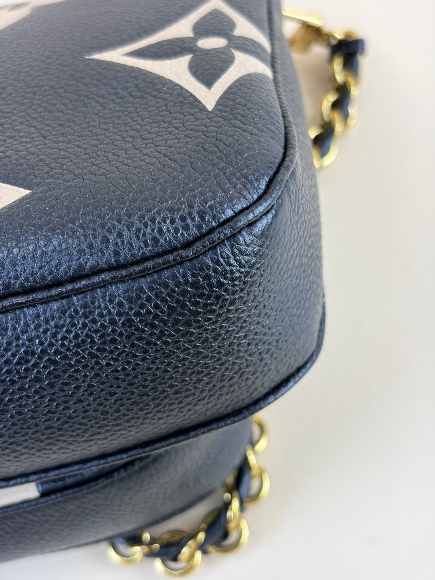 Louis Vuitton Bicolor Monogram Multi Pochette