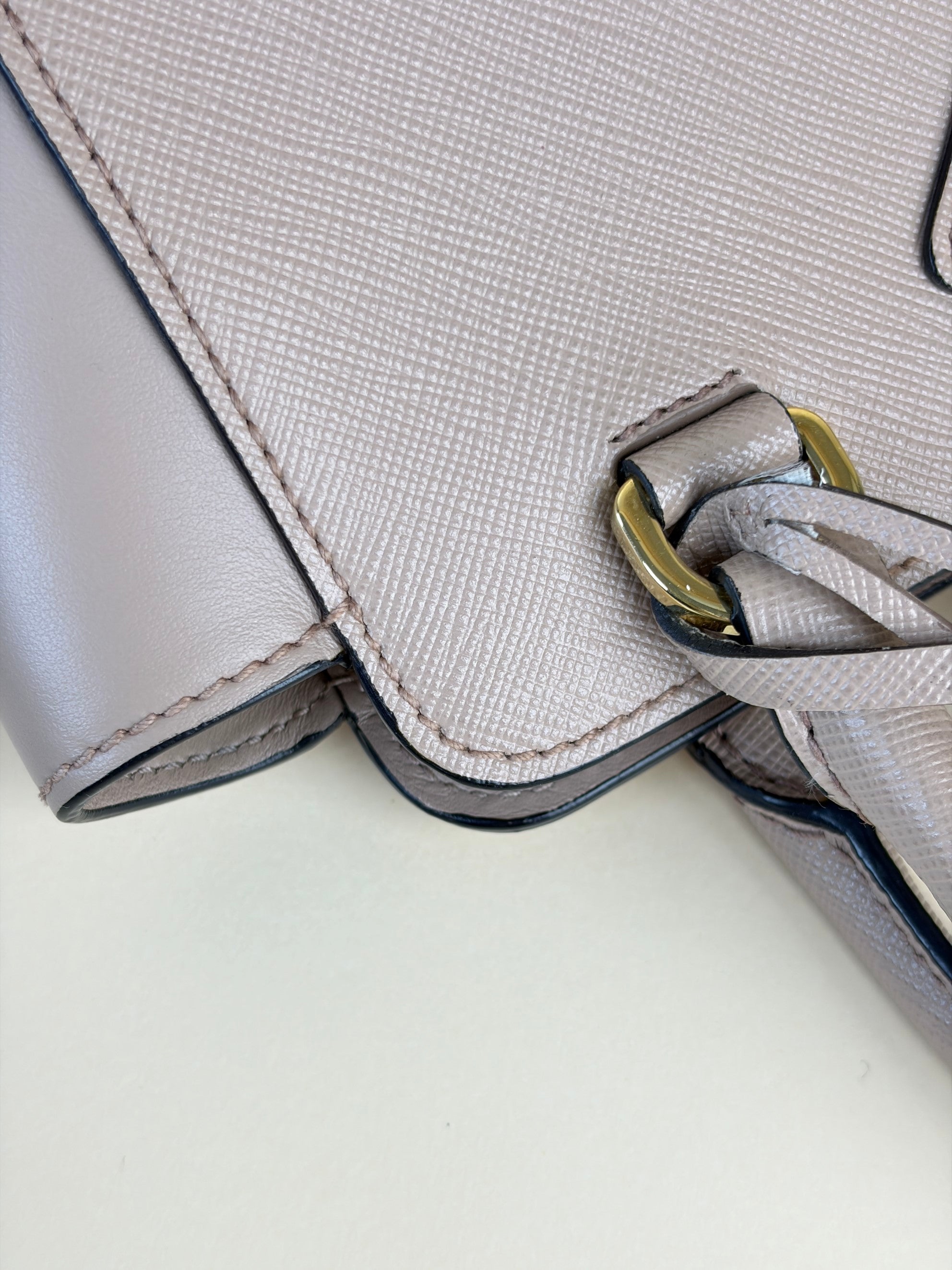 Prada saffanio soft calfskin mini zipped tote bag cipria