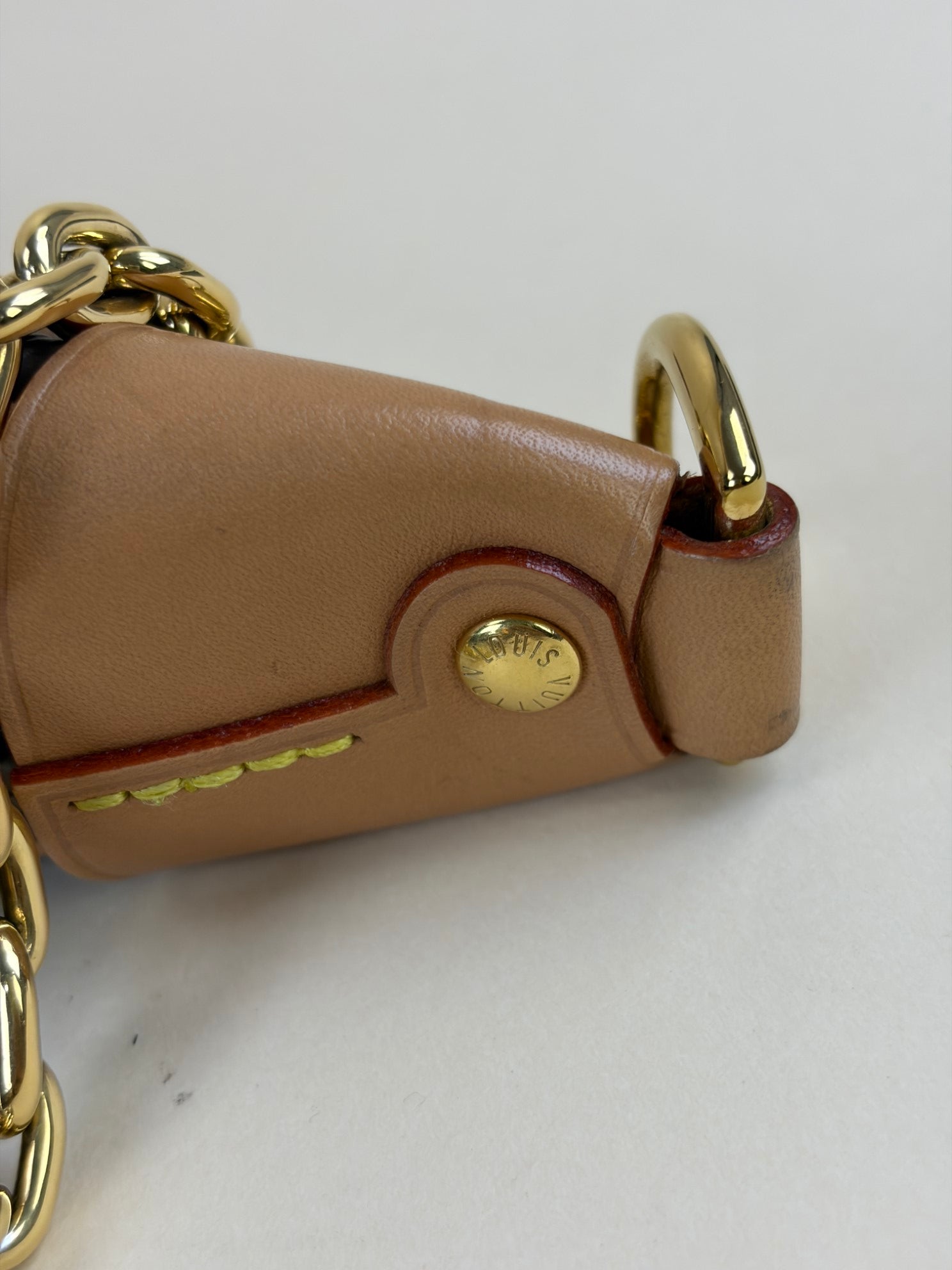 Louis Vuitton Monogram Loop PM Hand Bag