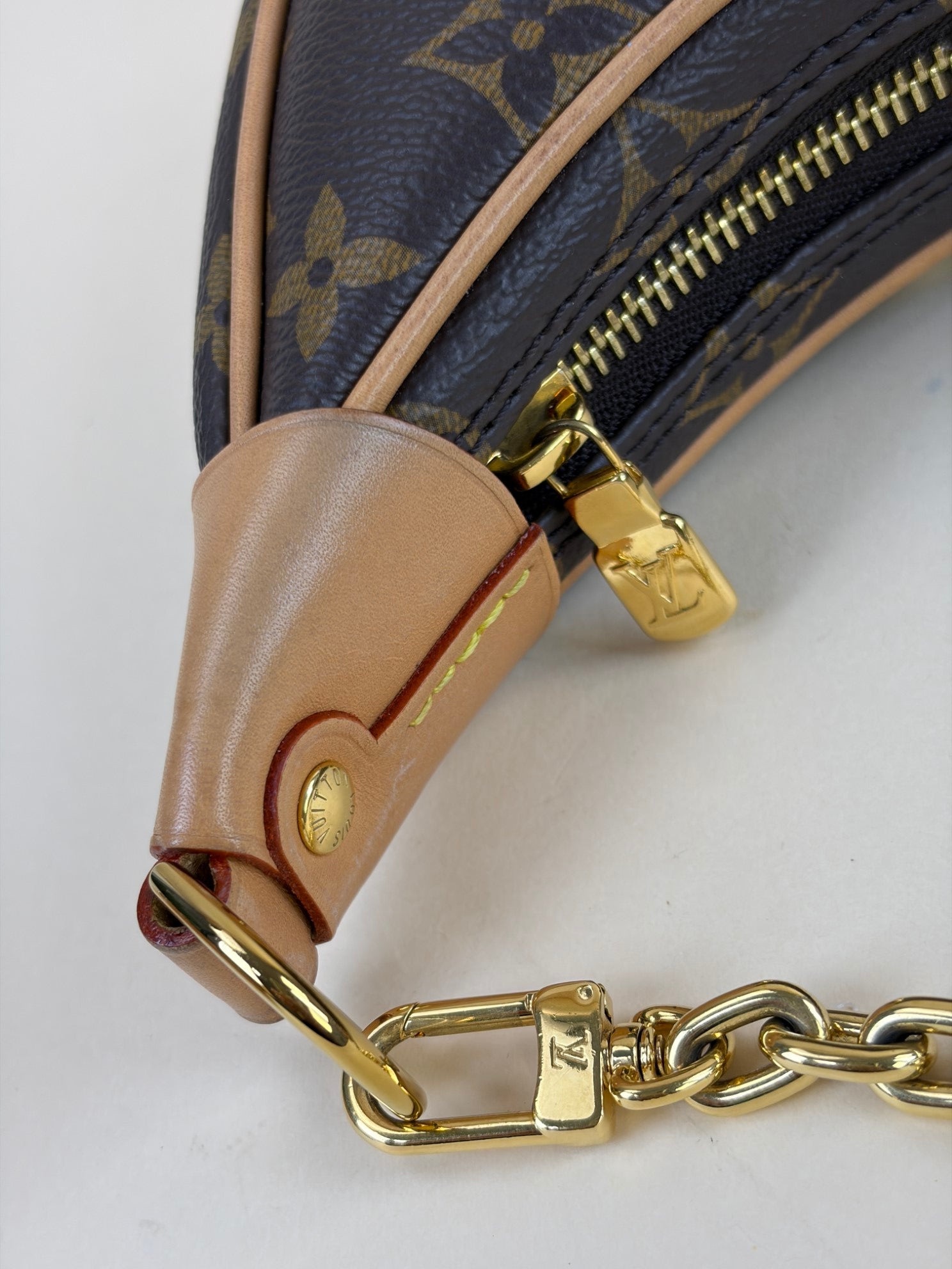 Louis Vuitton Monogram Loop PM Hand Bag