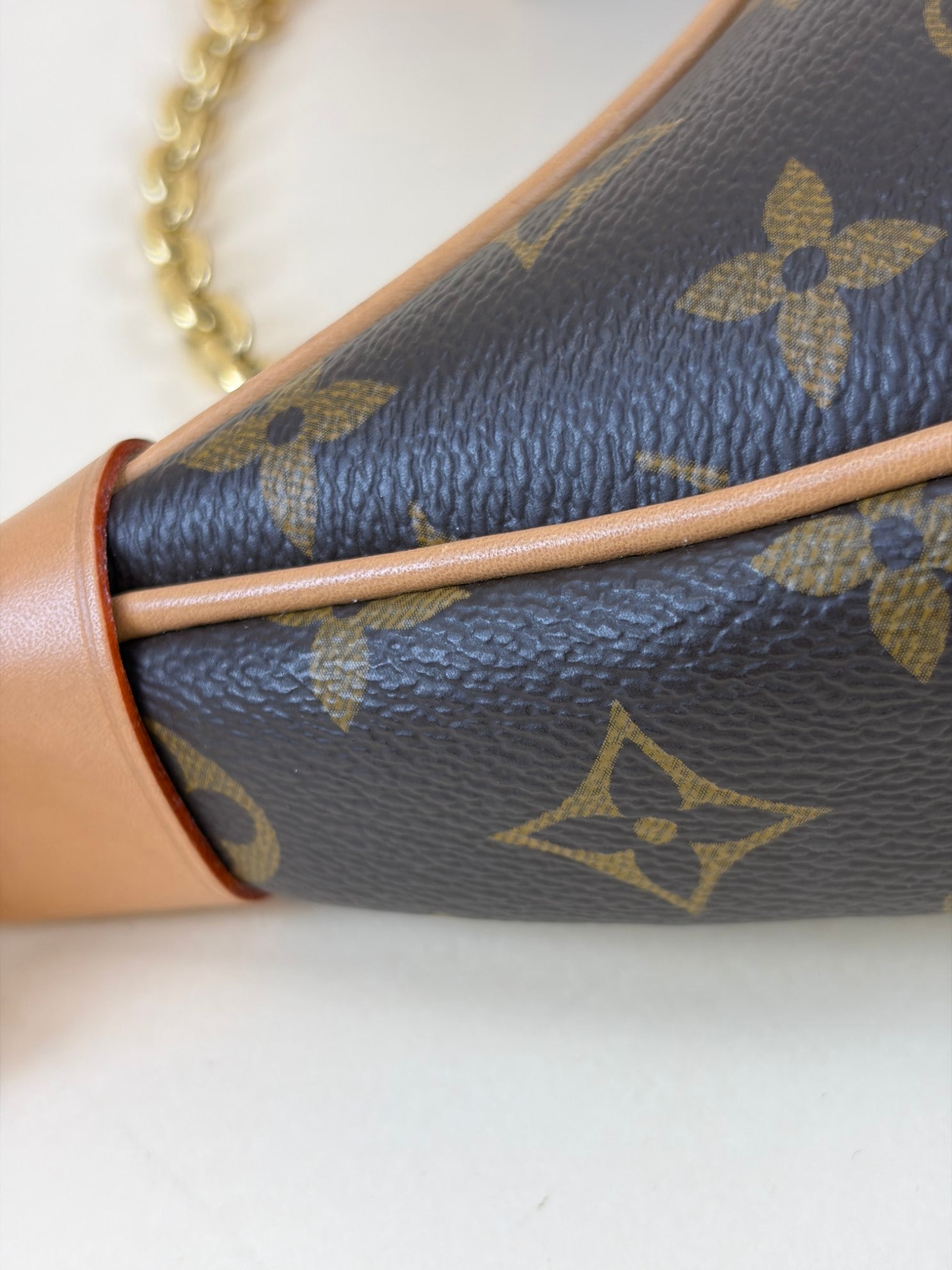 Louis Vuitton Monogram Loop PM Hand Bag