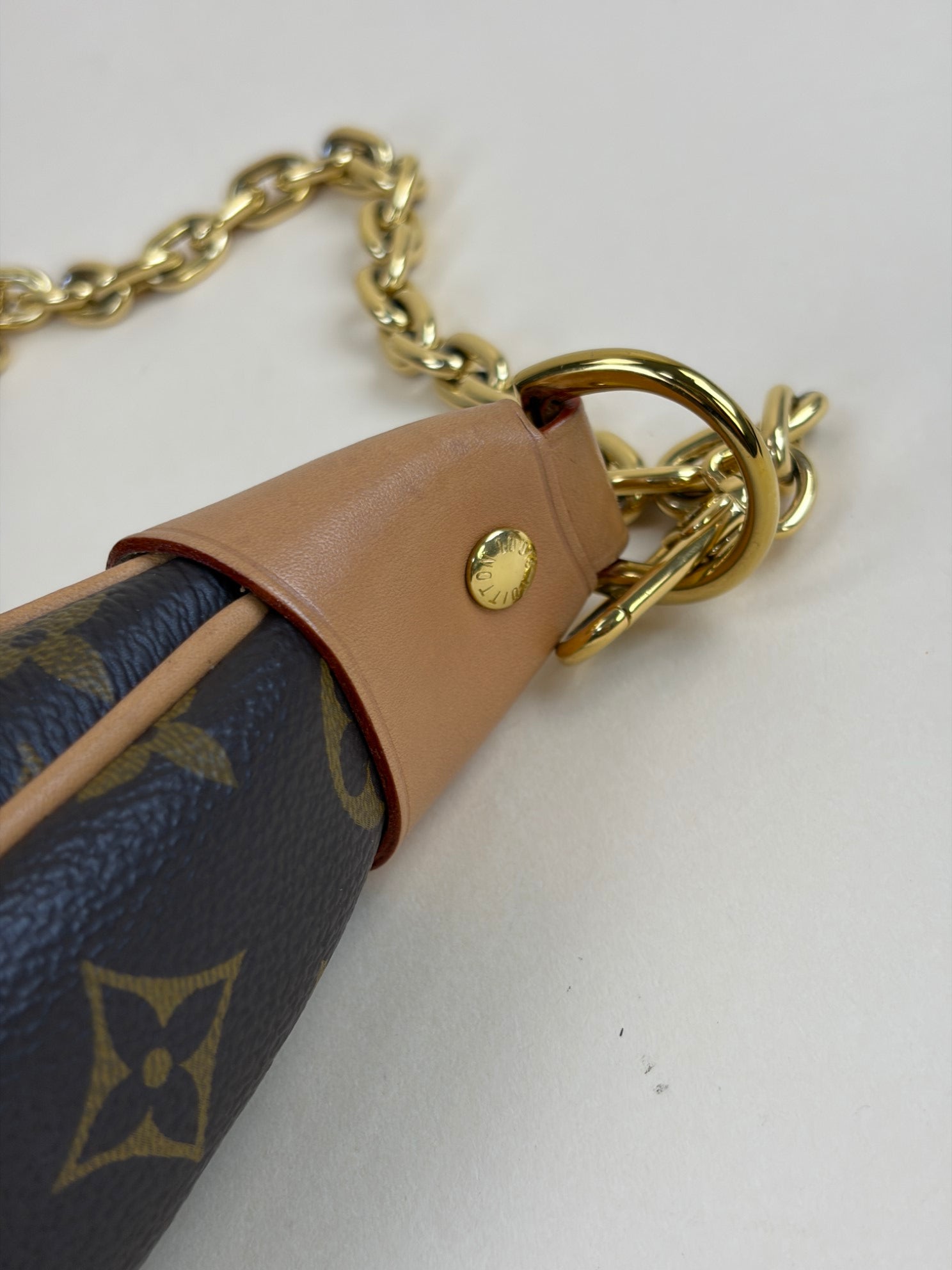 Louis Vuitton Monogram Loop PM Hand Bag