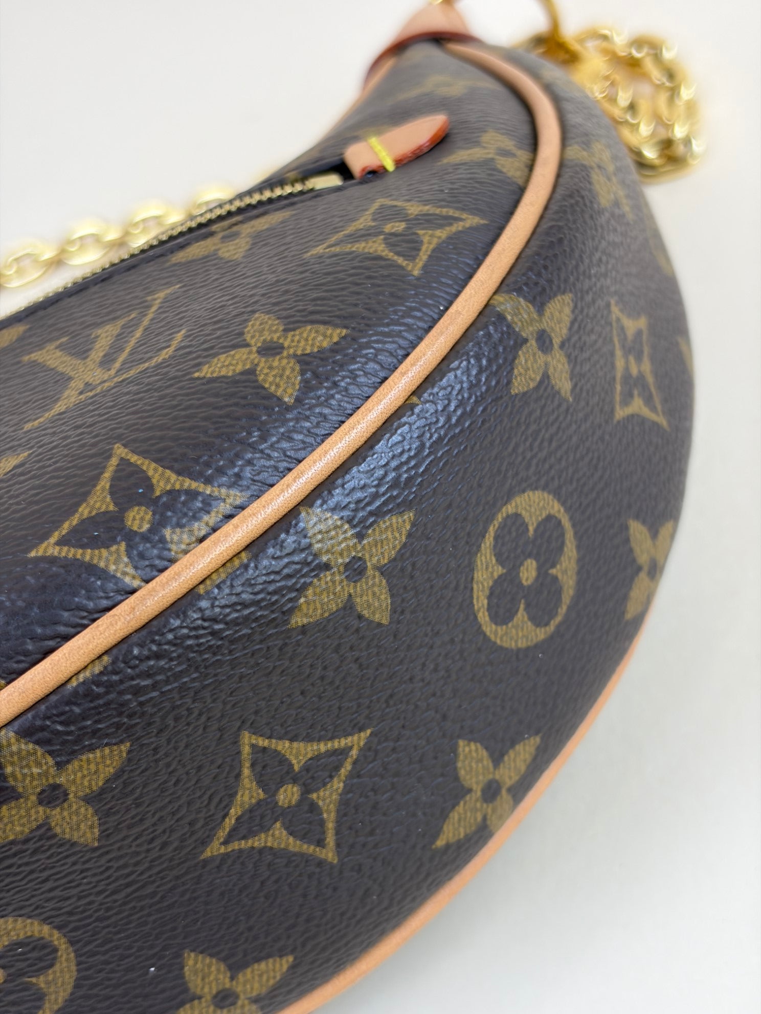 Louis Vuitton Monogram Loop PM Hand Bag
