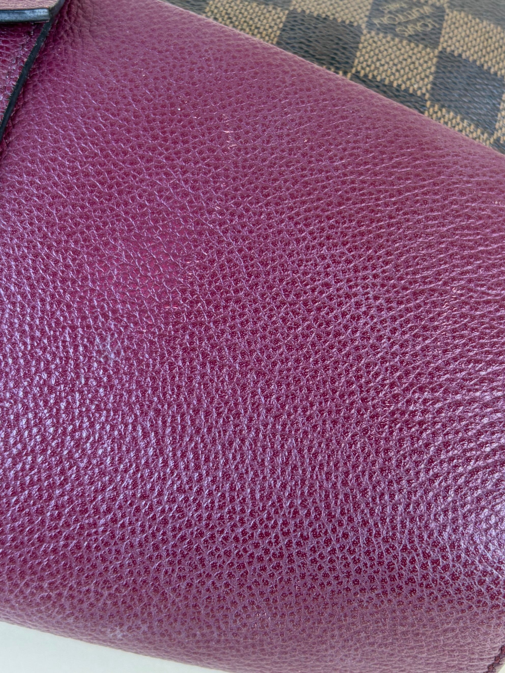 louis Vuitton raisin calfskin Damier ebene canvas clapton cross body bag