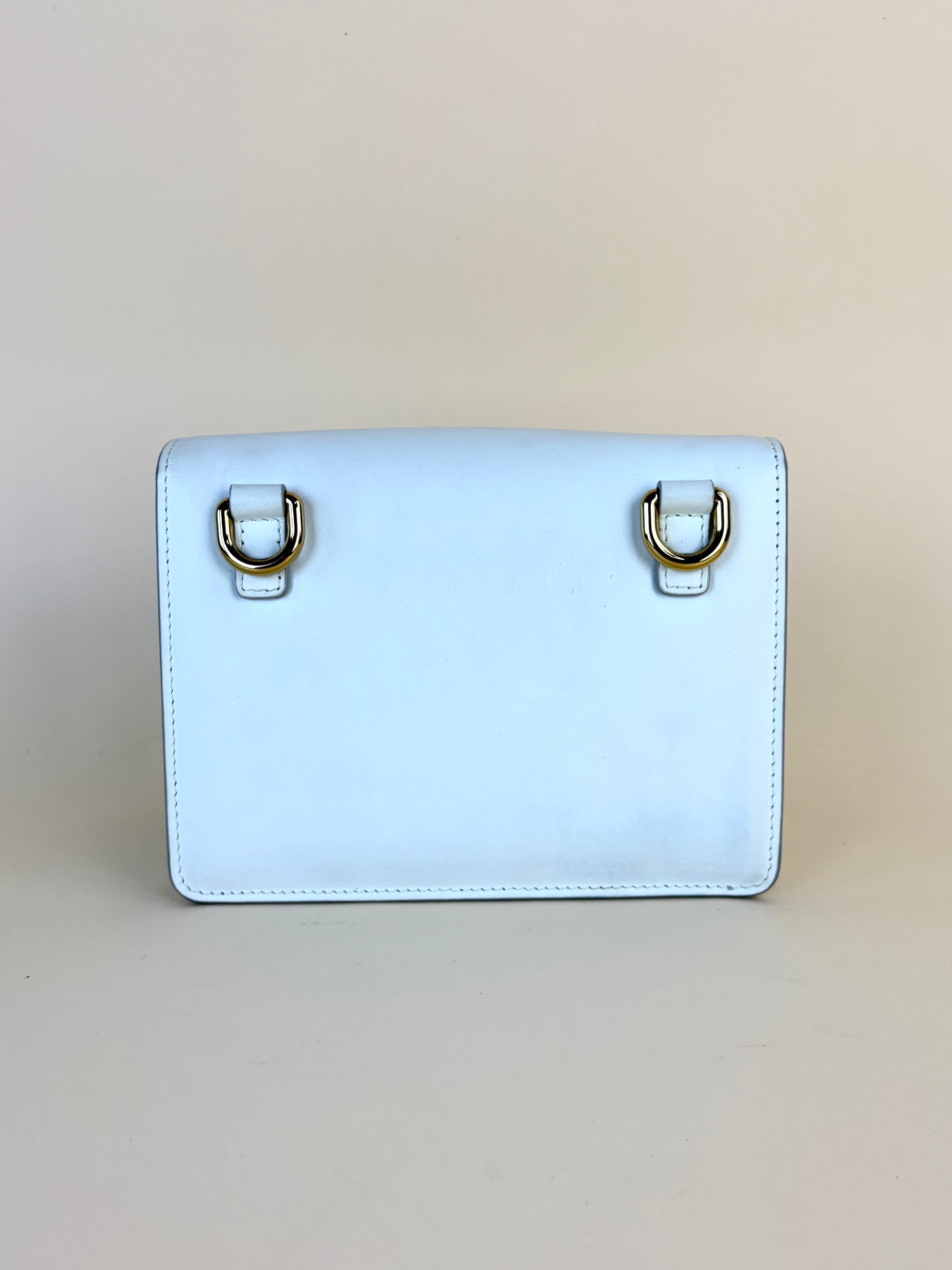 Dolce & Gabbana white calfskin dg leather millennials belt bag