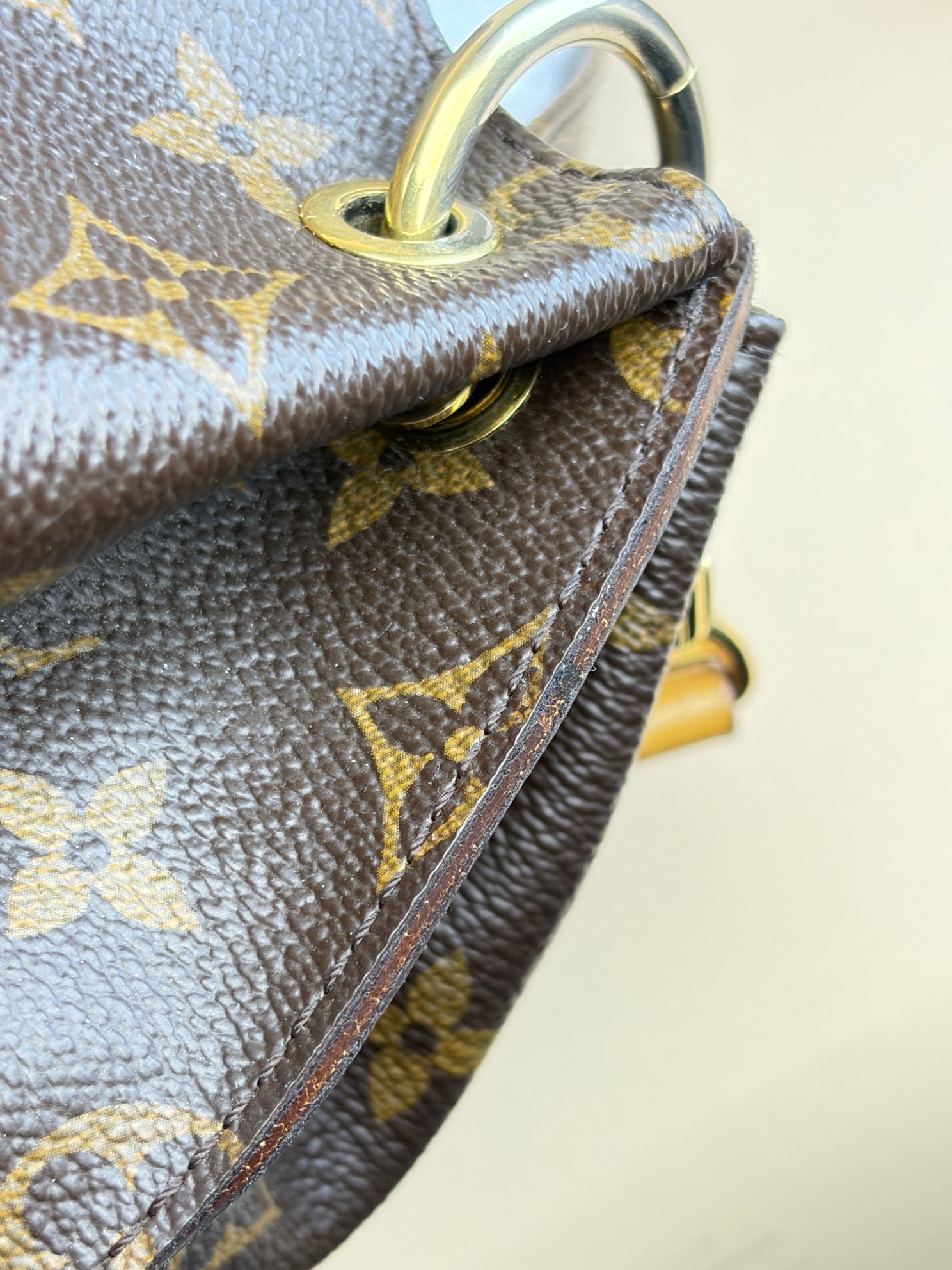 Louis Vuitton Monogram Metis Hobo Bag