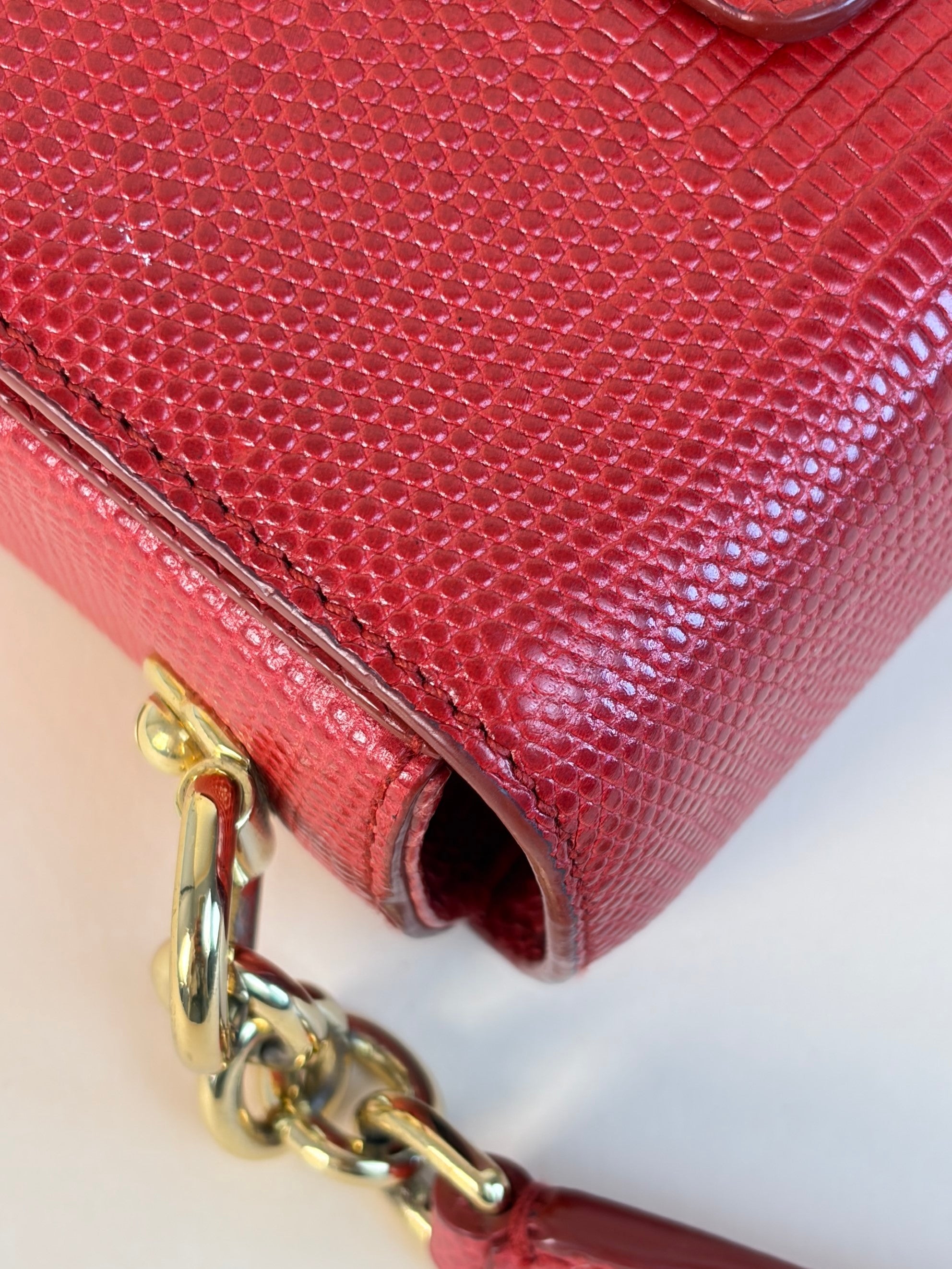 Dolce & Gabbana red lizard embossed crystal embellished D G millennials mini crossbody