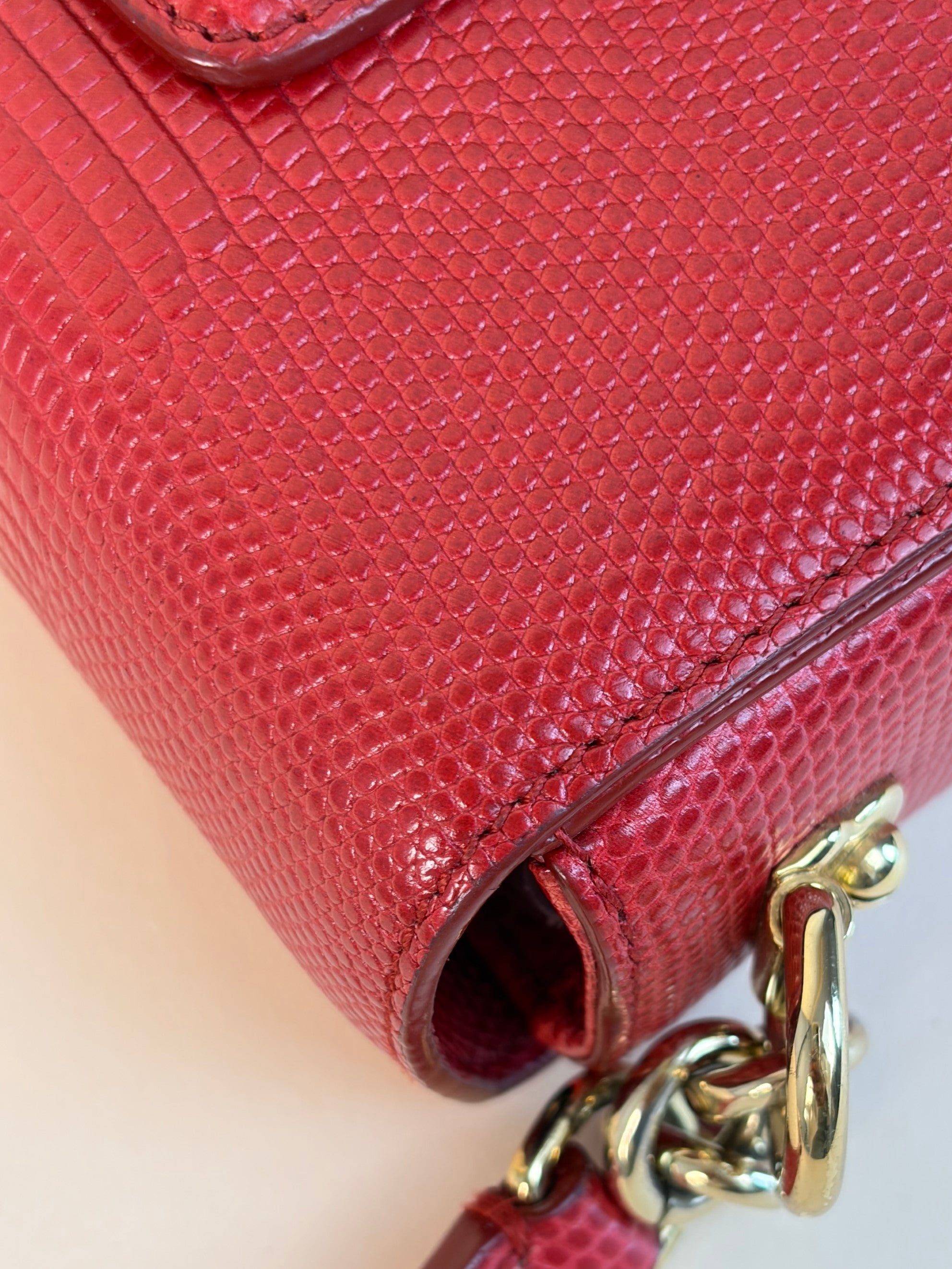 Dolce & Gabbana red lizard embossed crystal embellished D G millennials mini crossbody