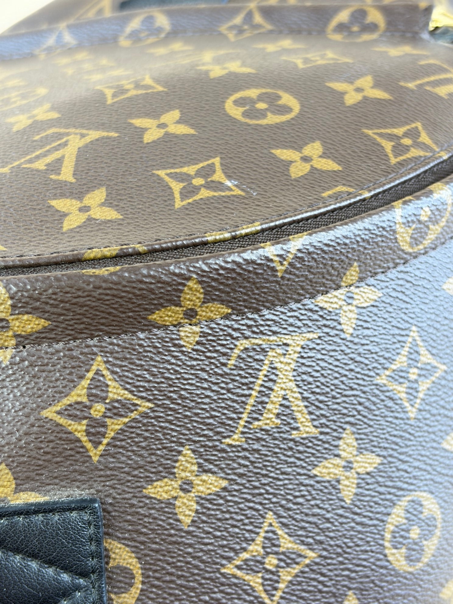Louis Vuitton Monogram MM Palm Springs Backpack Bag