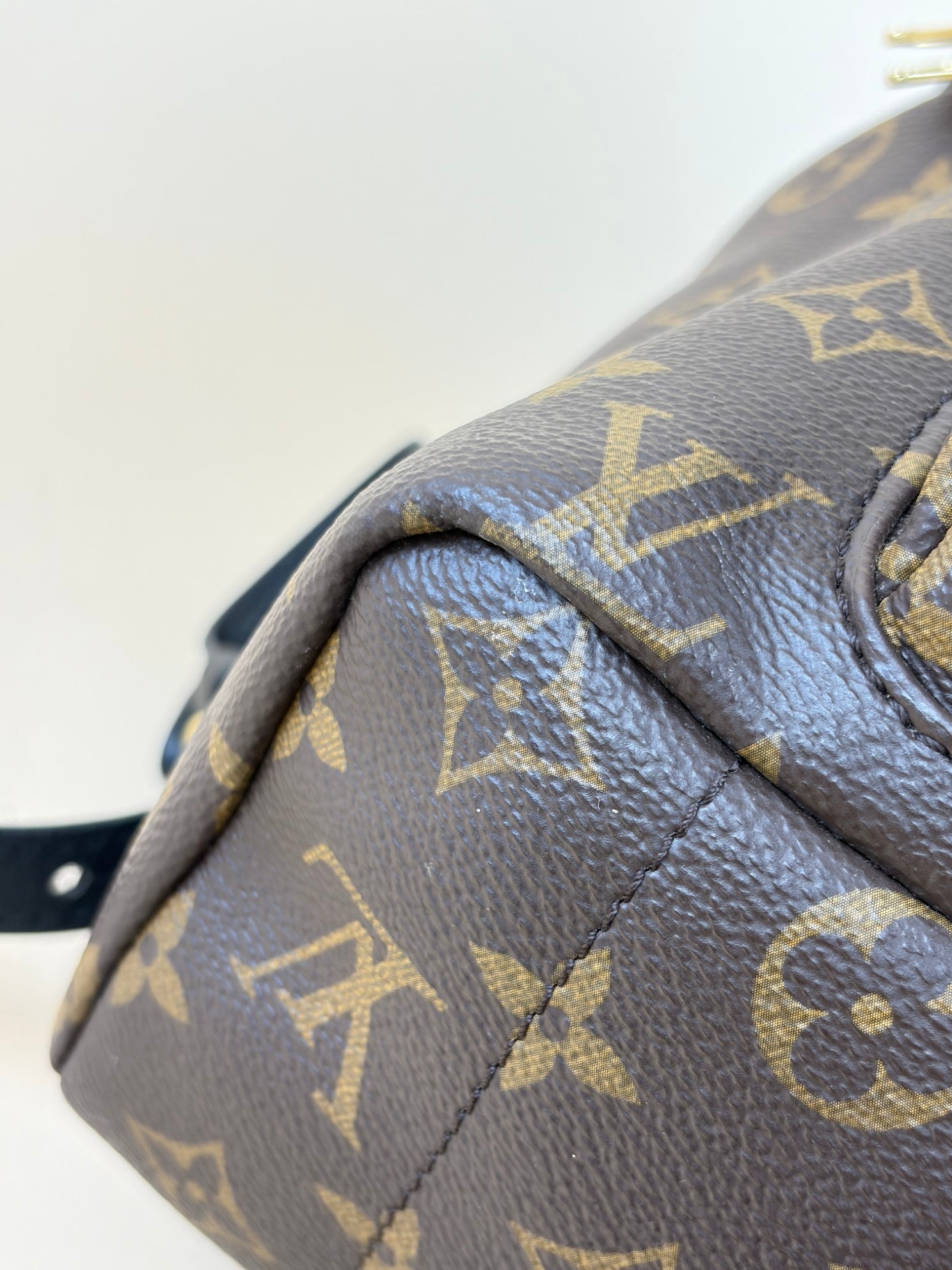 Louis Vuitton Monogram MM Palm Springs Backpack Bag