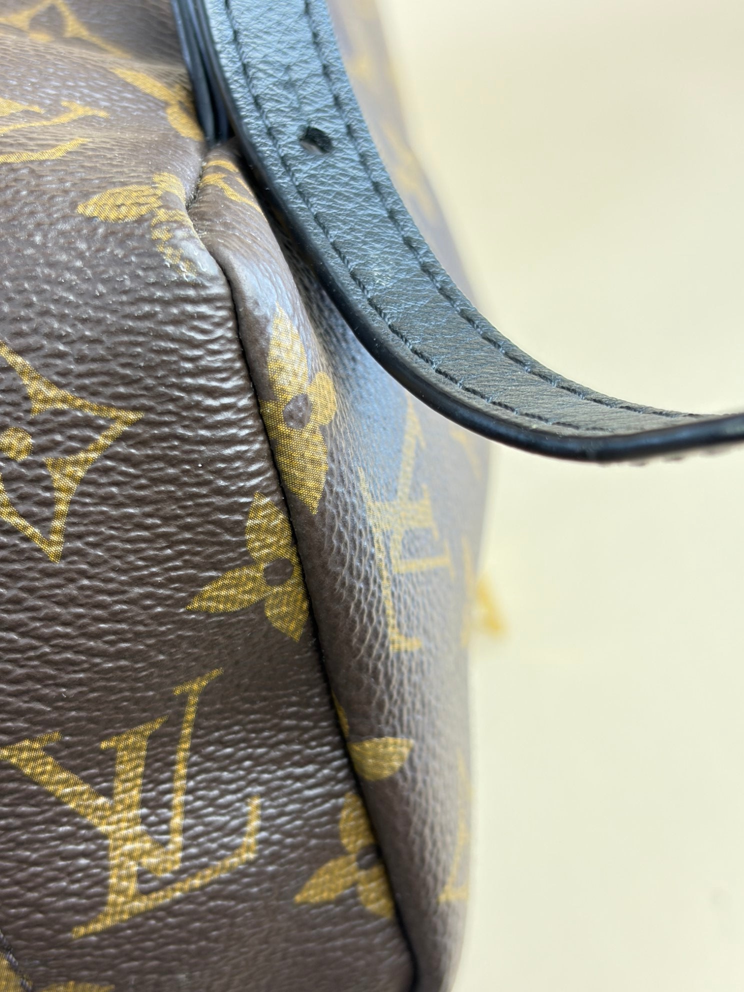 Louis Vuitton Monogram MM Palm Springs Backpack Bag