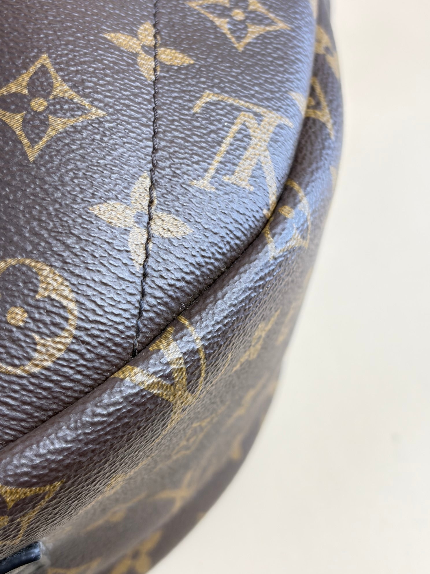 Louis Vuitton Monogram MM Palm Springs Backpack Bag