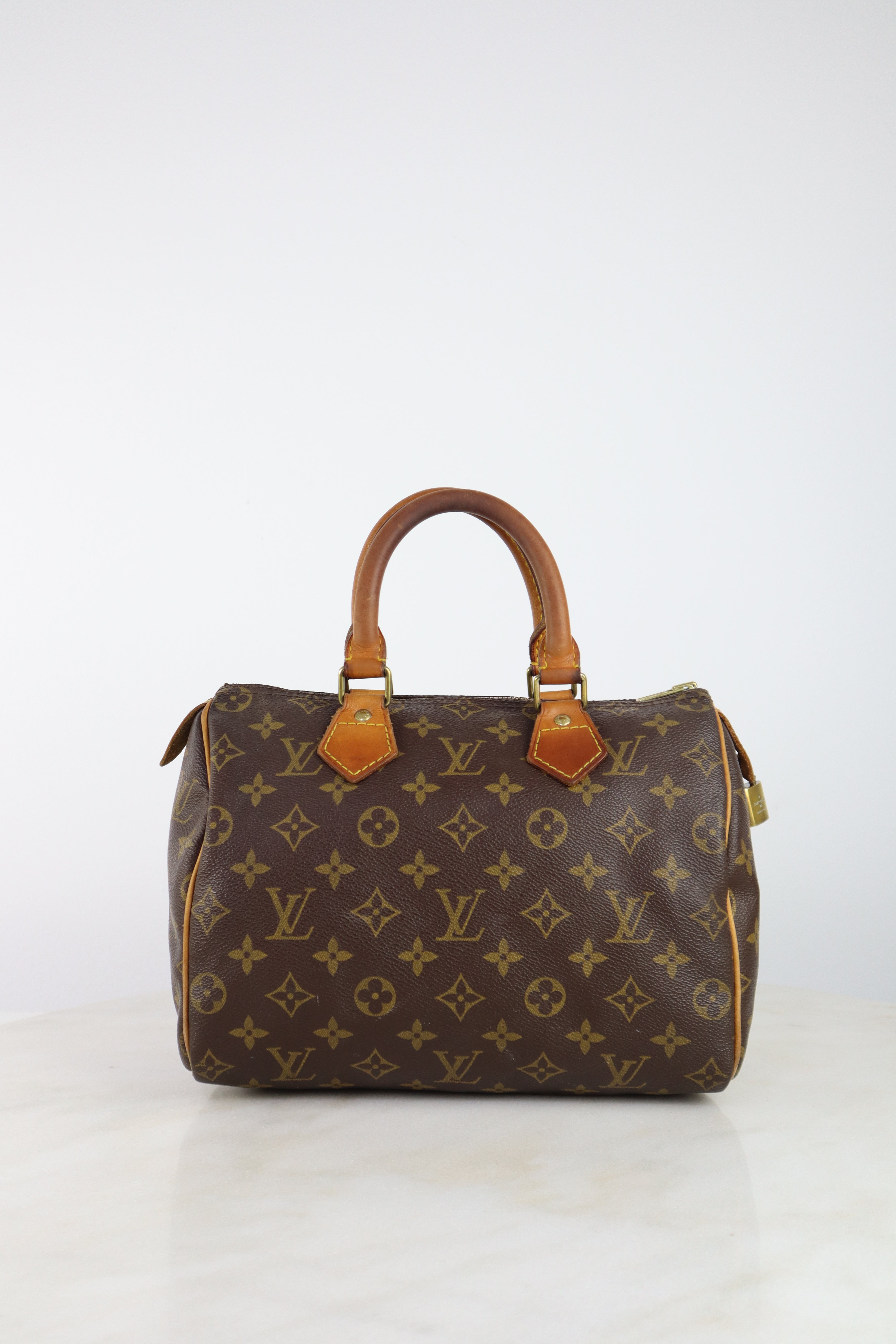 Louis Vuitton Monogram Speedy 25 Tote Bag