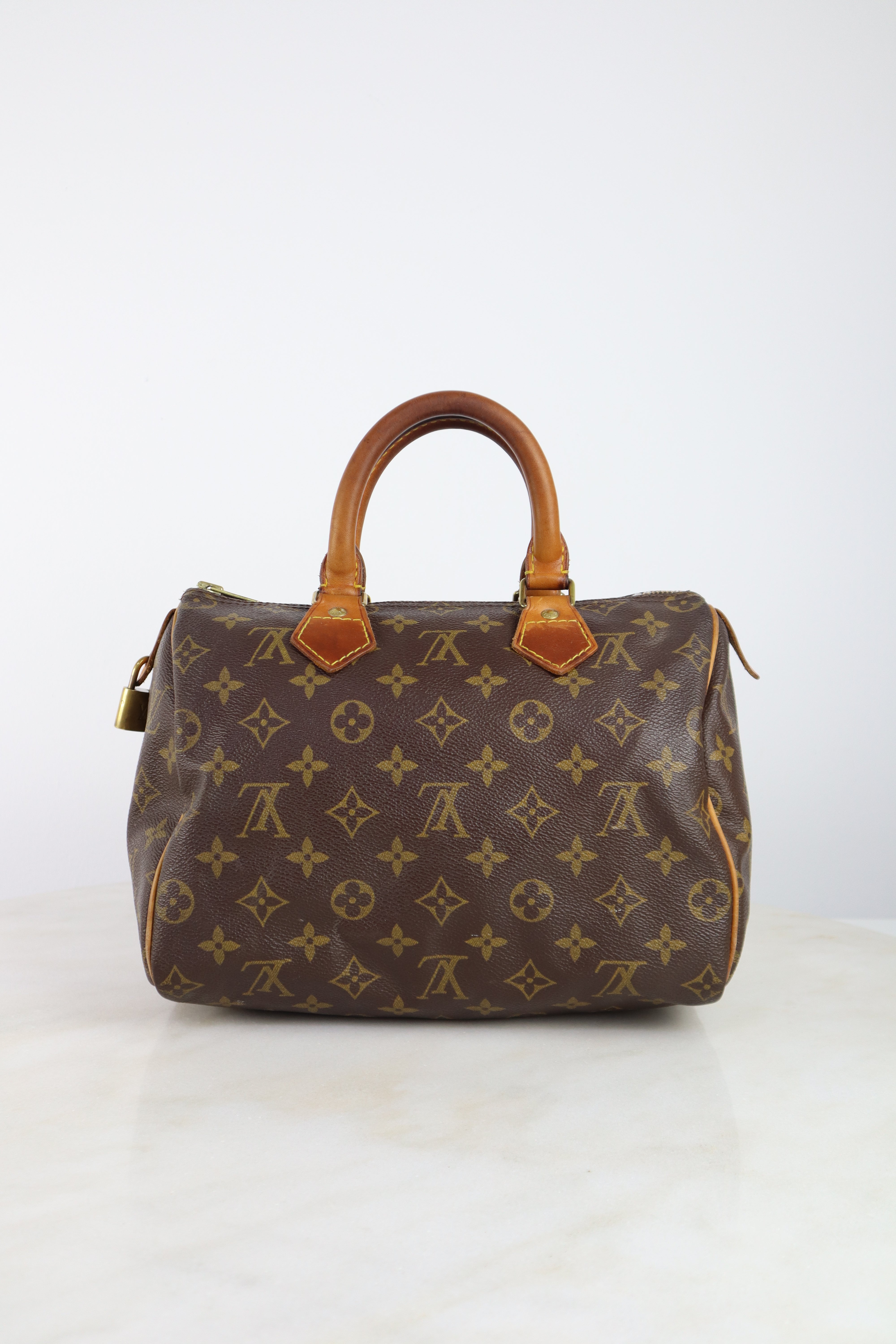 Louis Vuitton Monogram Speedy 25 Tote Bag