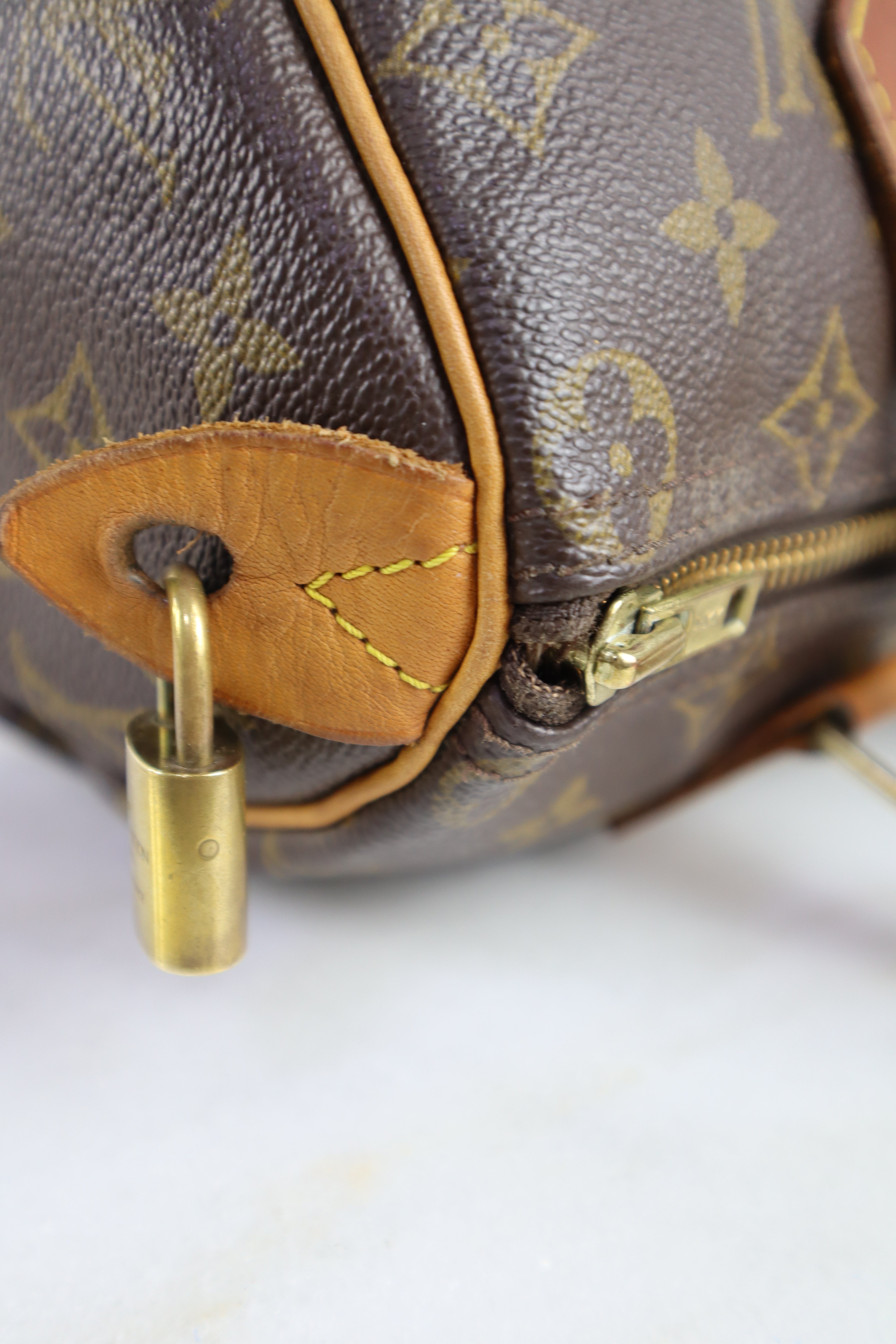 Louis Vuitton Monogram Speedy 25 Tote Bag