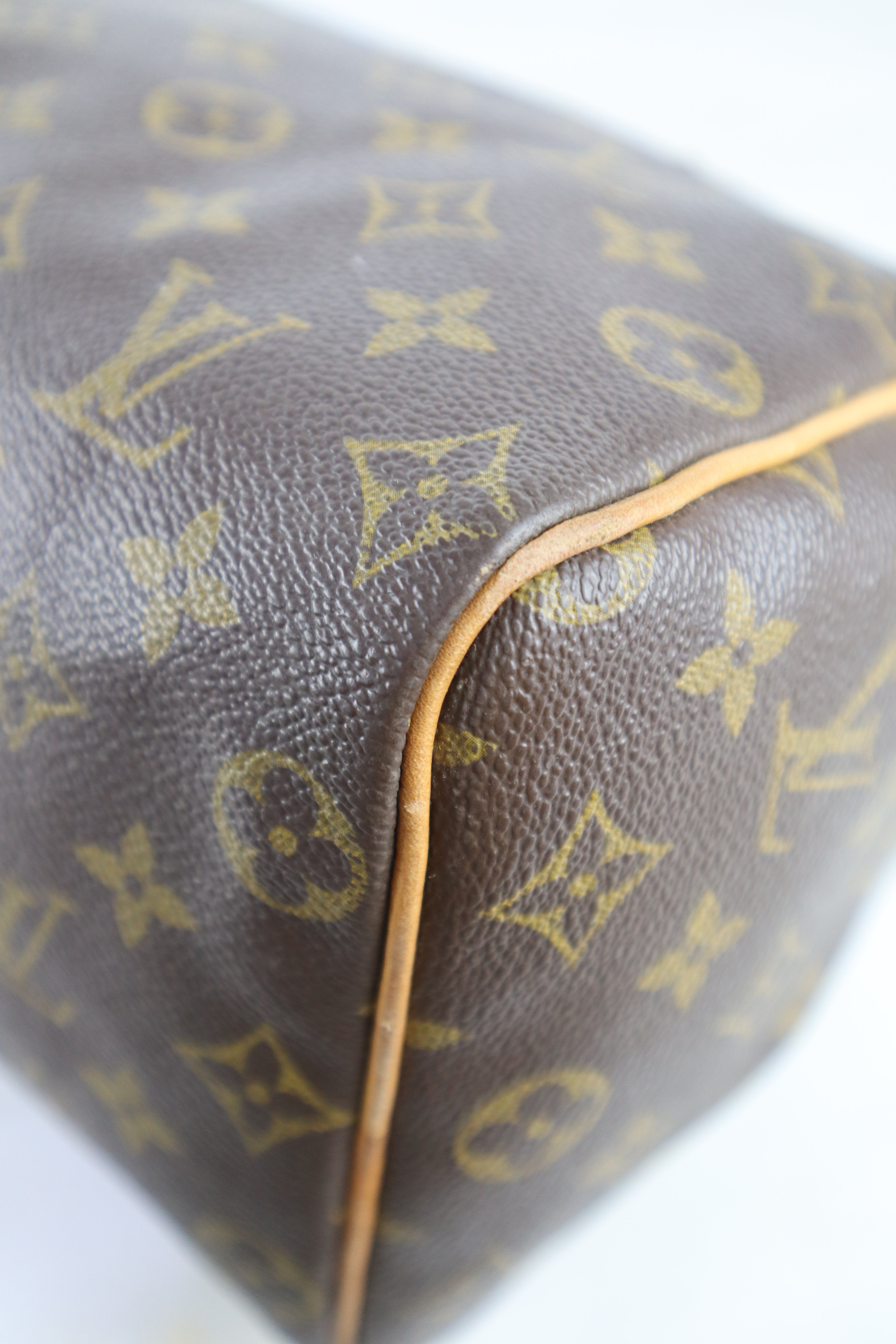Louis Vuitton Monogram Speedy 25 Tote Bag
