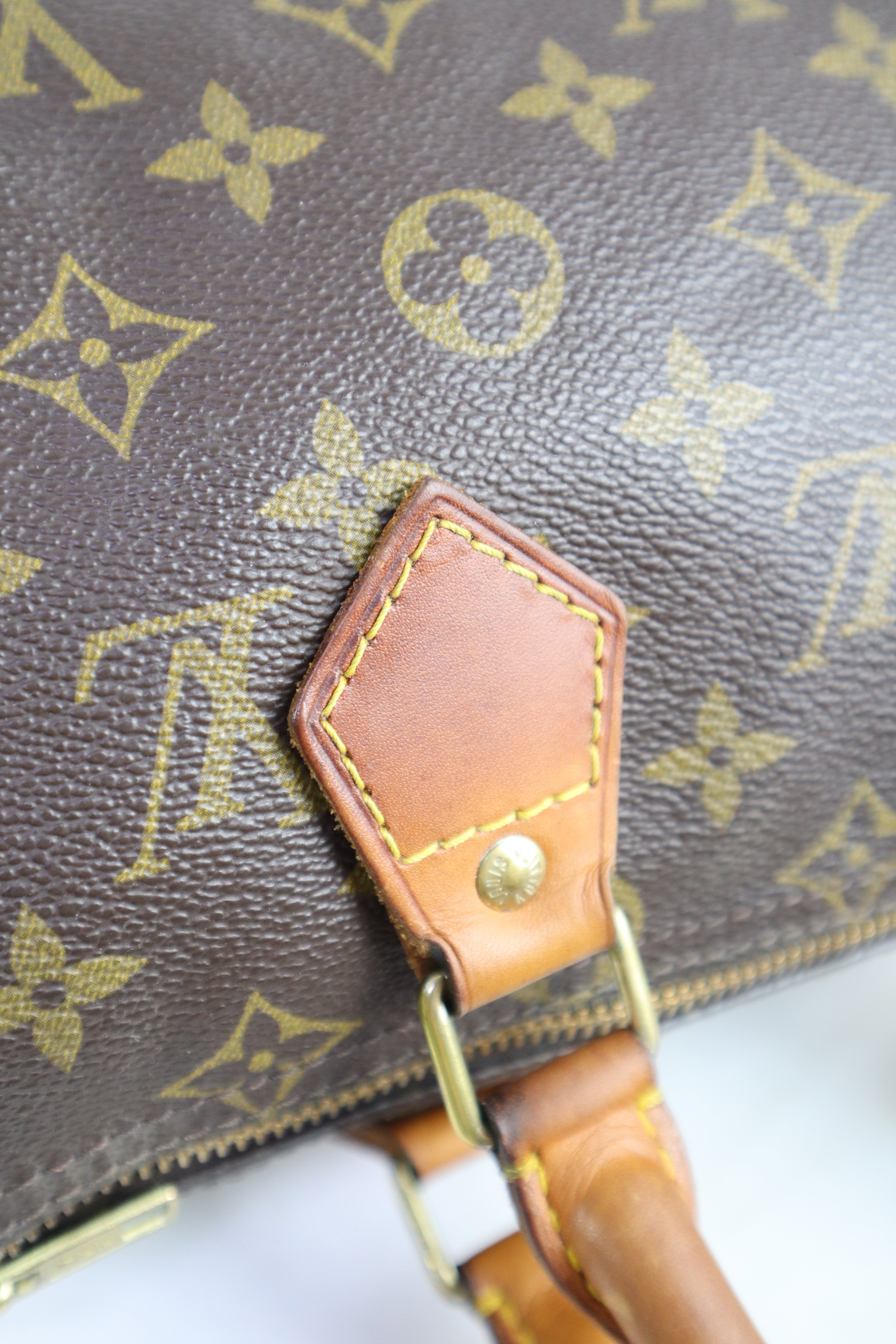 Louis Vuitton Monogram Speedy 25 Tote Bag