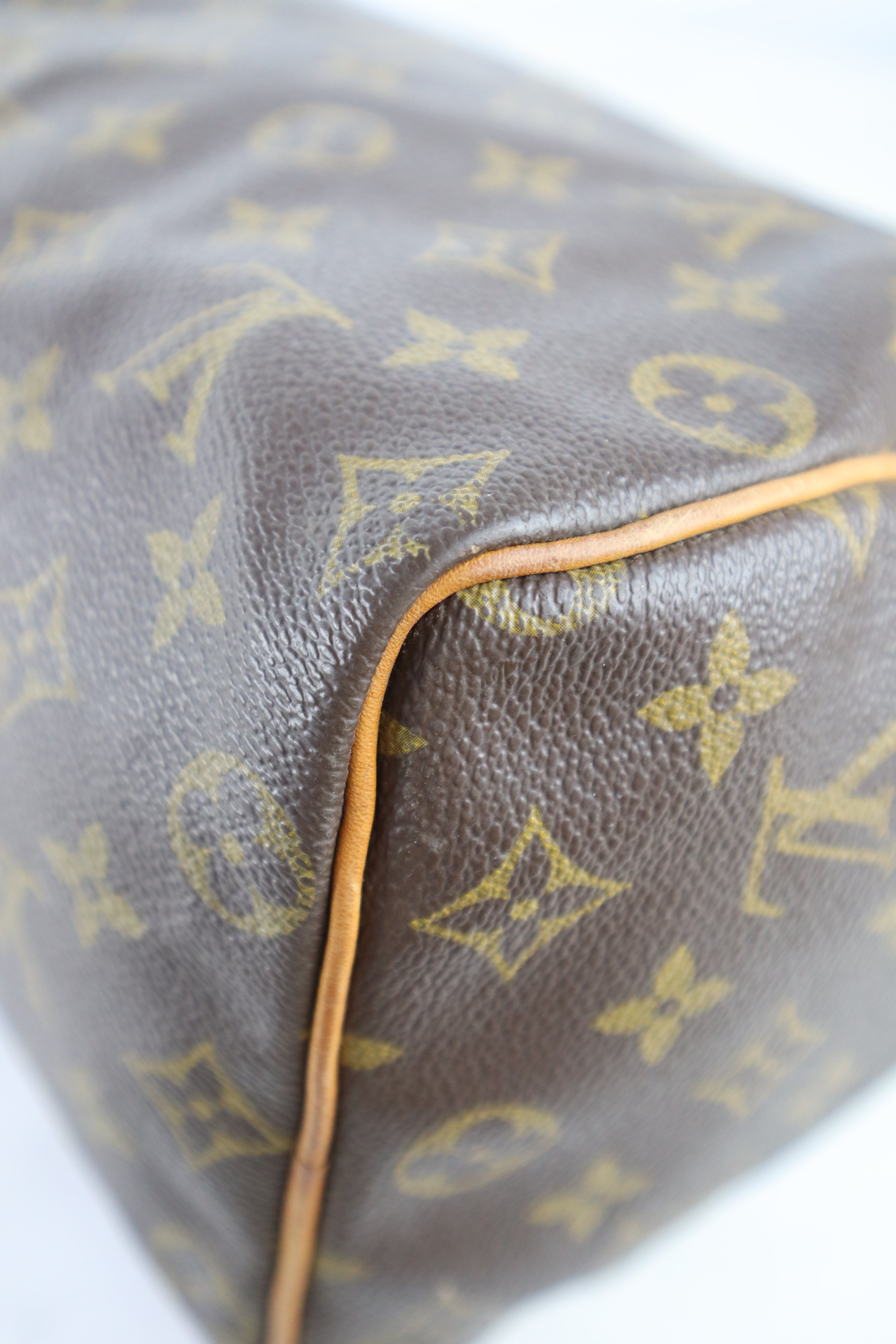 Louis Vuitton Monogram Speedy 25 Tote Bag