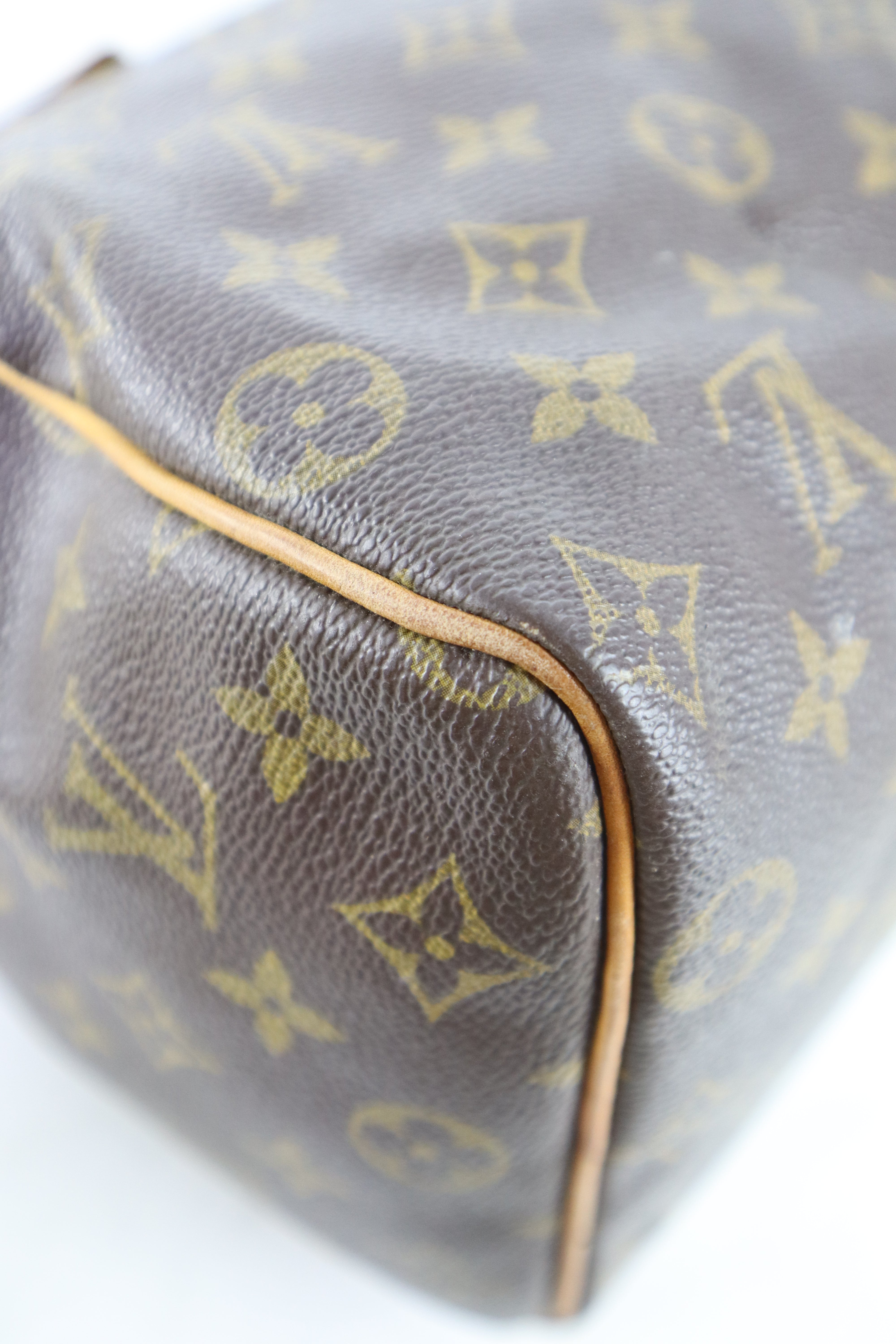 Louis Vuitton Monogram Speedy 25 Tote Bag