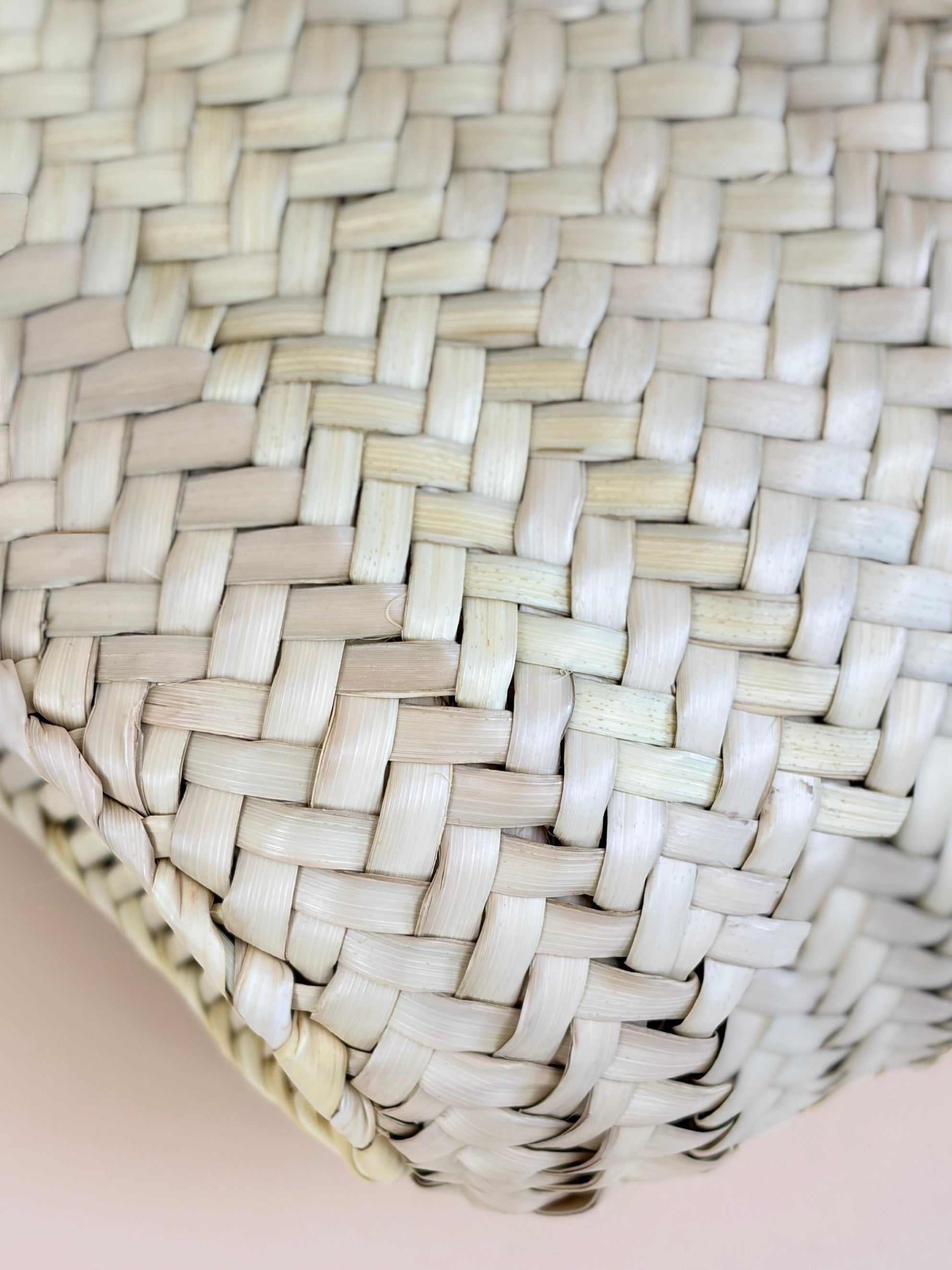 Celine Tan Triomphe Raffia Medium Panier Shoulder Bag