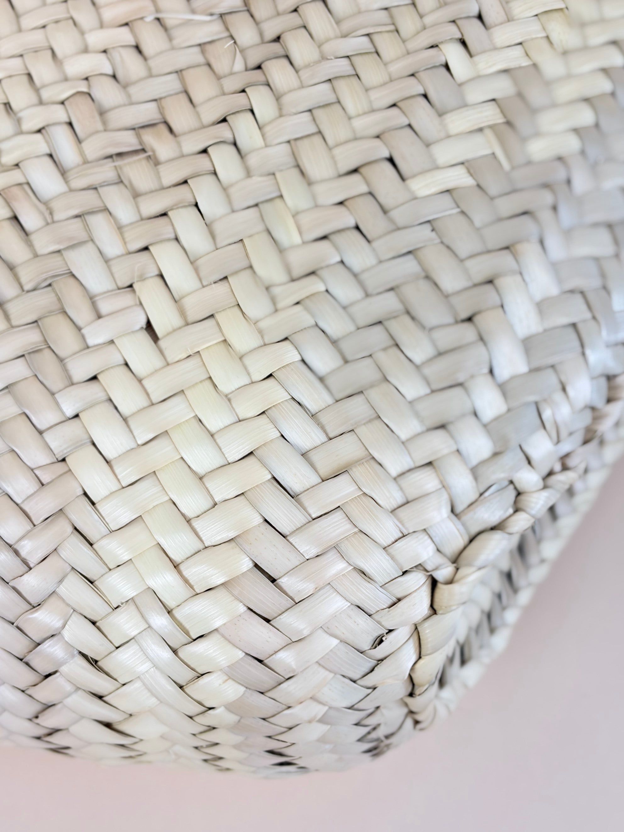 Celine Tan Triomphe Raffia Medium Panier Shoulder Bag