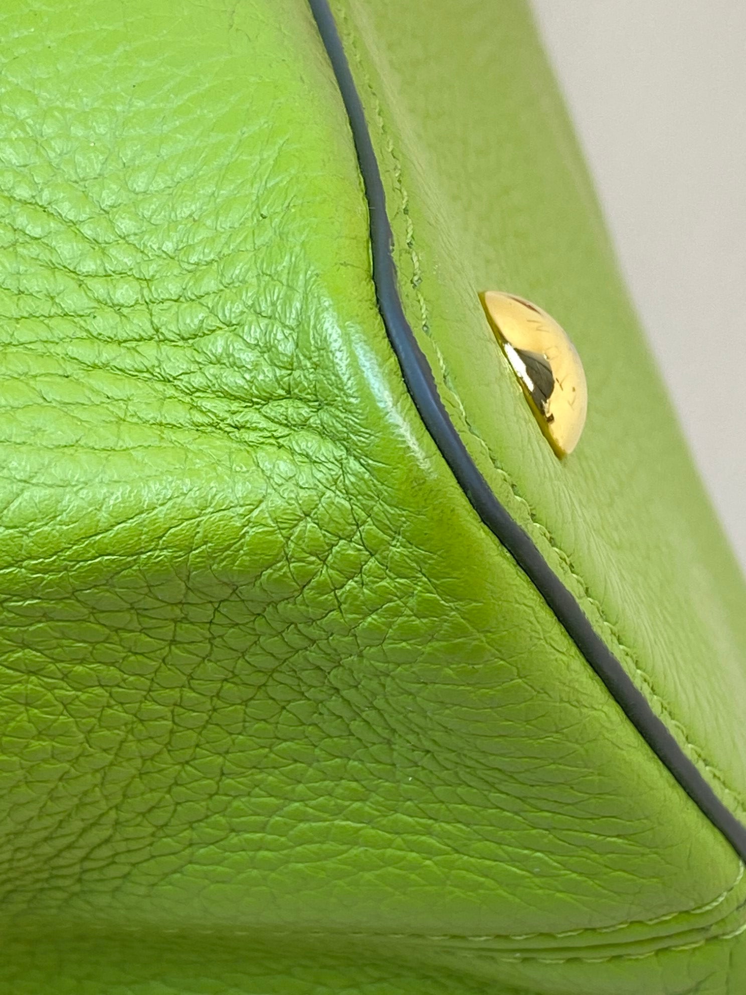 Louis Vuitton green Capucine's MM Tote Bag