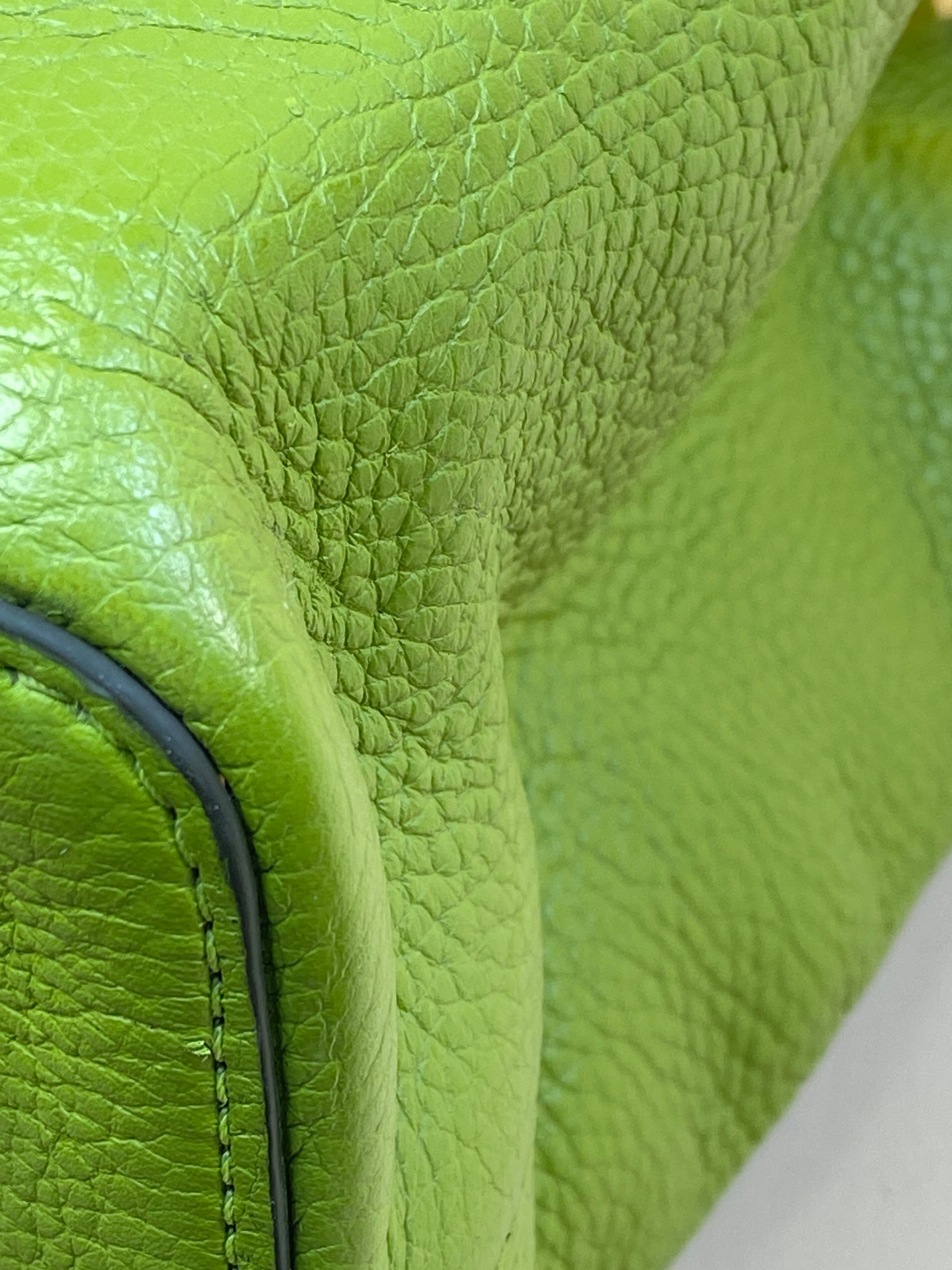 Louis Vuitton green Capucine's MM Tote Bag