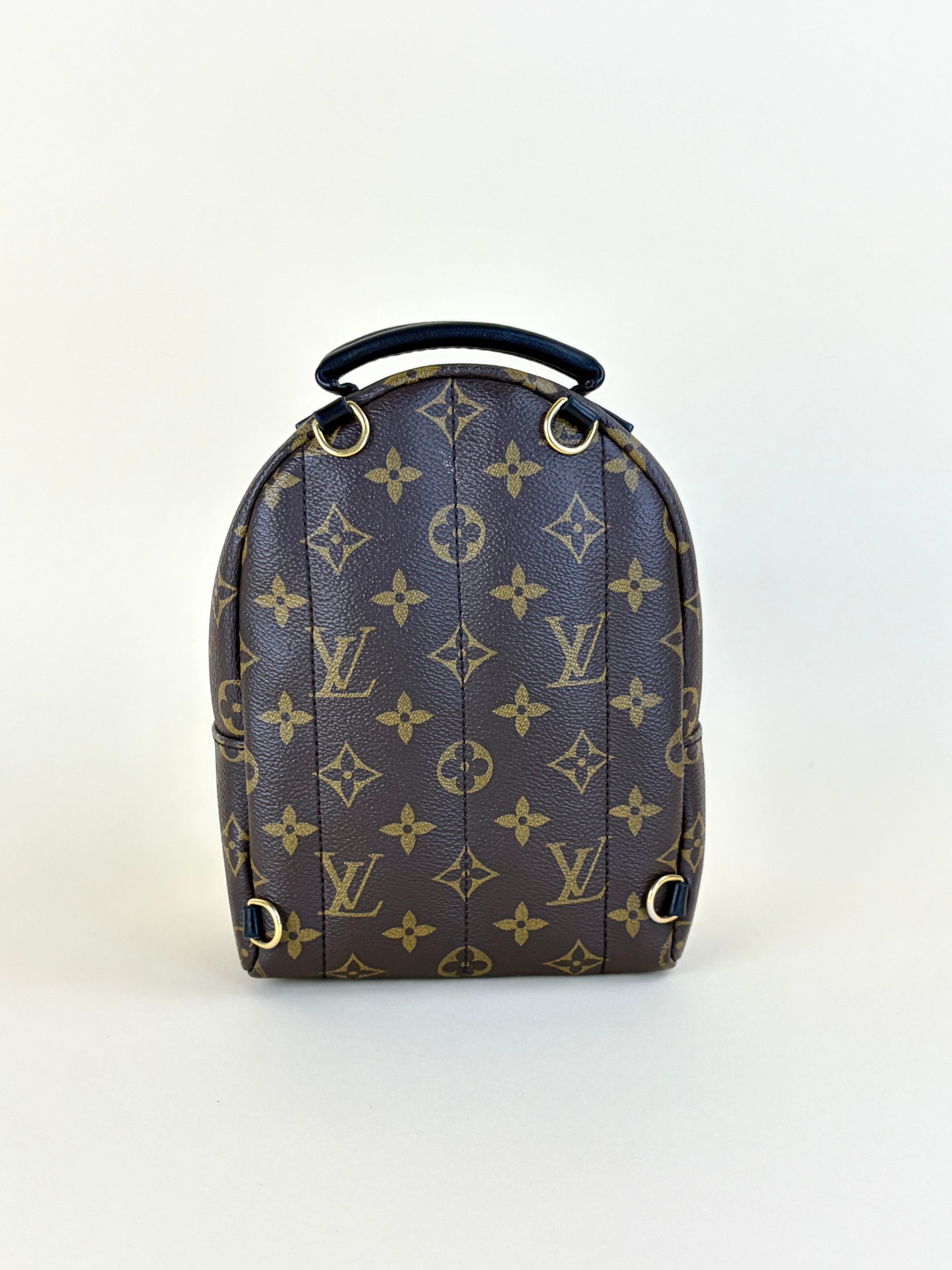 Louis Vuitton Monogram Palm Spring PM Backpack Bag
