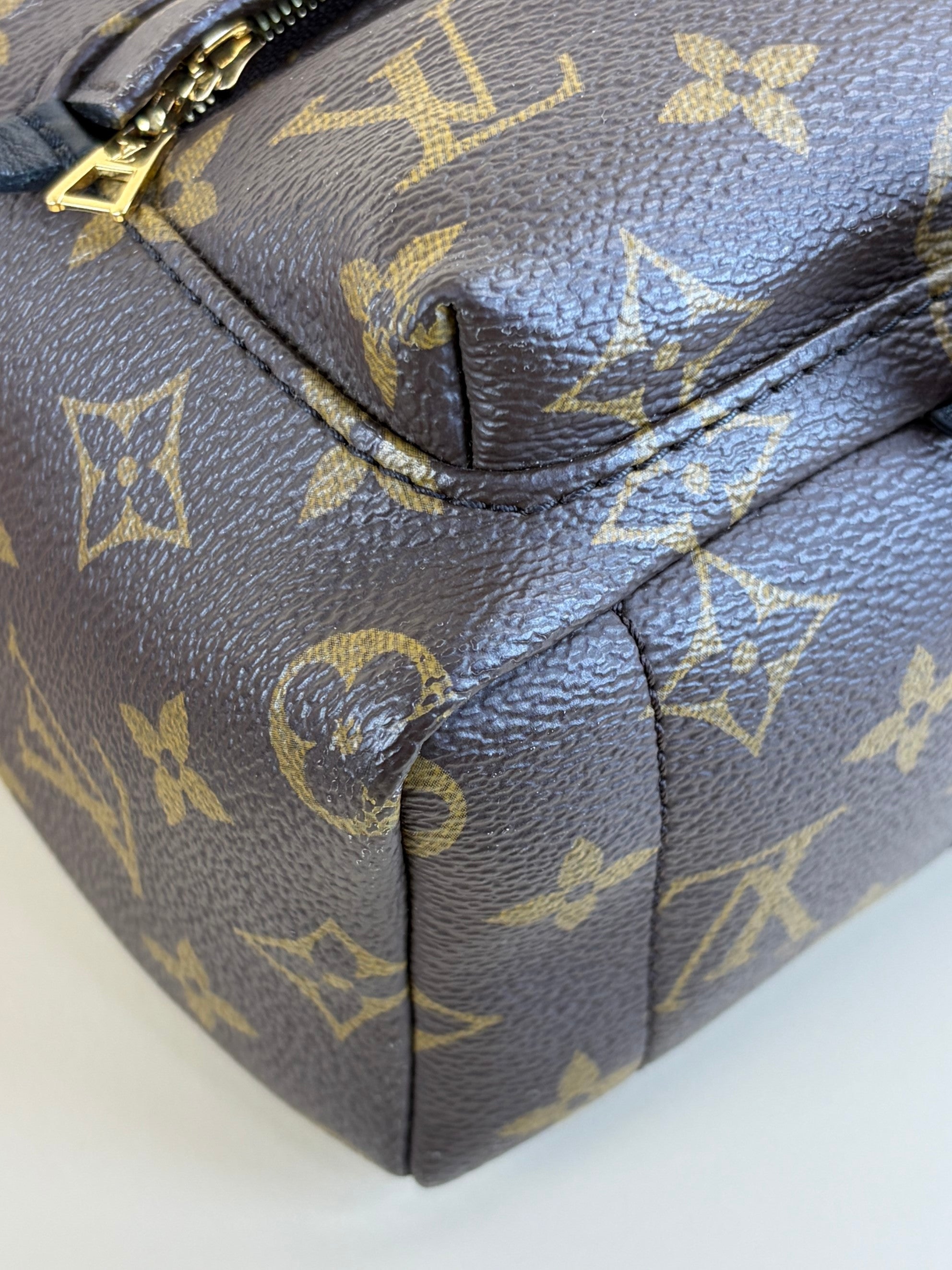 Louis Vuitton Monogram Palm Spring PM Backpack Bag