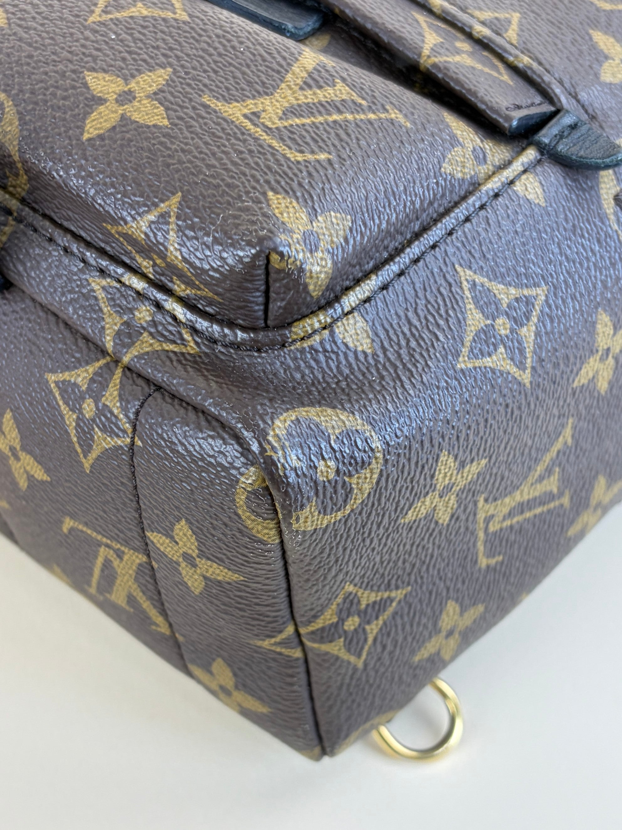 Louis Vuitton Monogram Palm Spring PM Backpack Bag