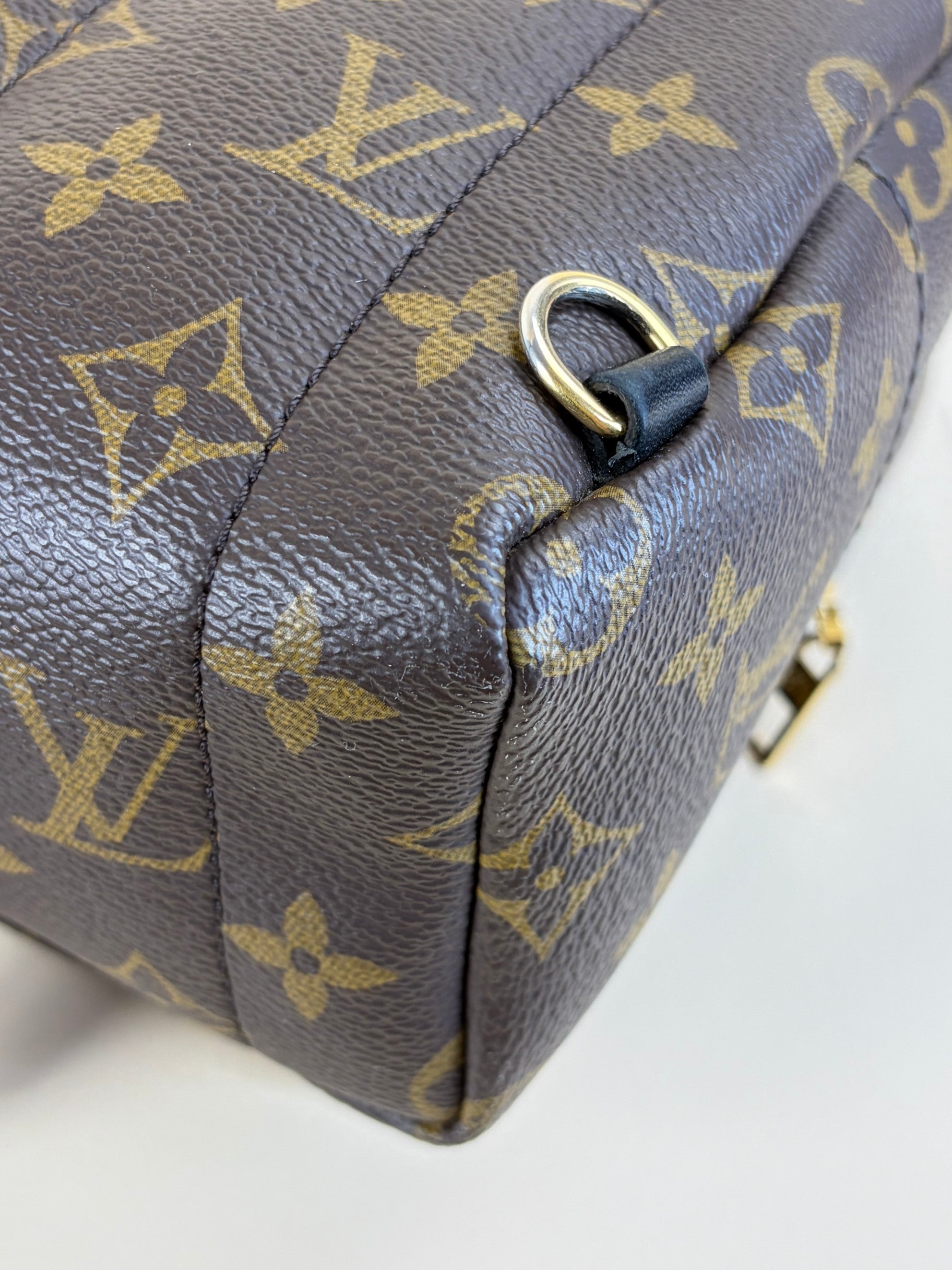 Louis Vuitton Monogram Palm Spring PM Backpack Bag