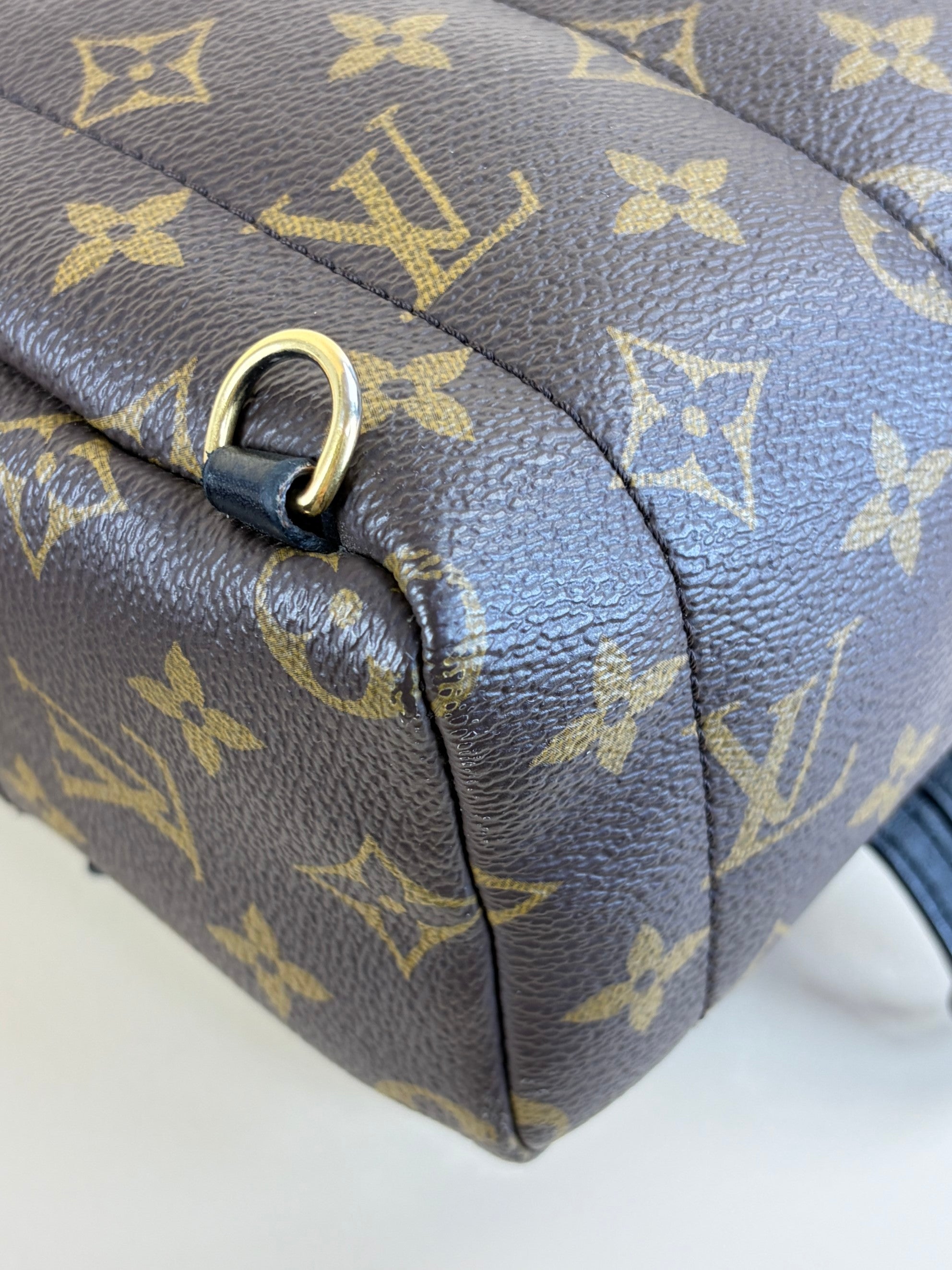Louis Vuitton Monogram Palm Spring PM Backpack Bag