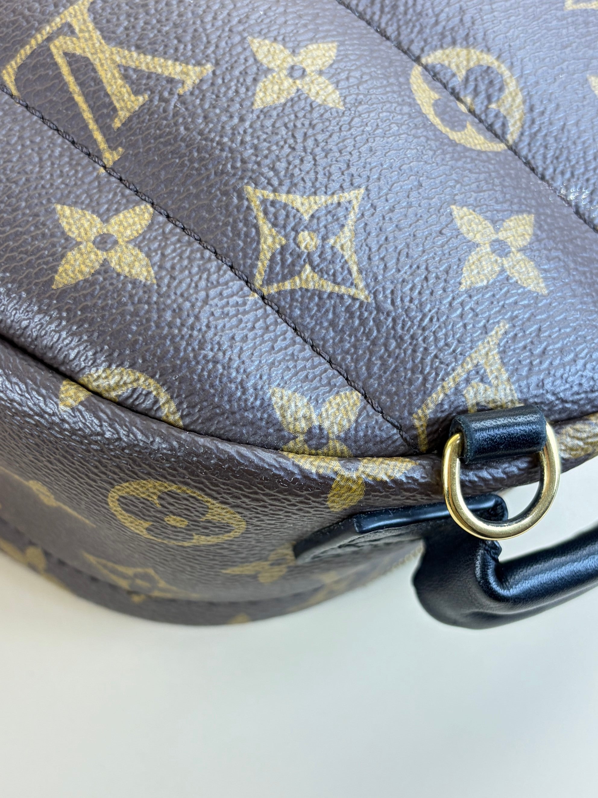 Louis Vuitton Monogram Palm Spring PM Backpack Bag