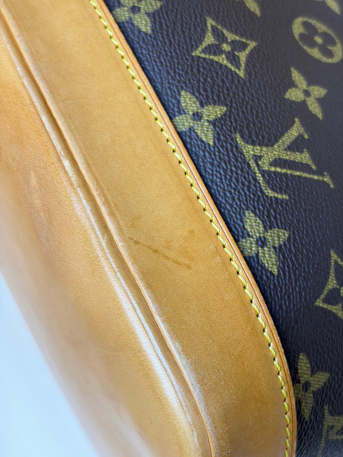 Louis Vuitton Monogram canvas Alma PM Bag