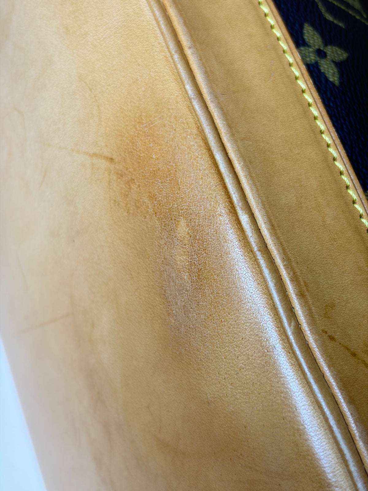 Louis Vuitton Monogram canvas Alma PM Bag