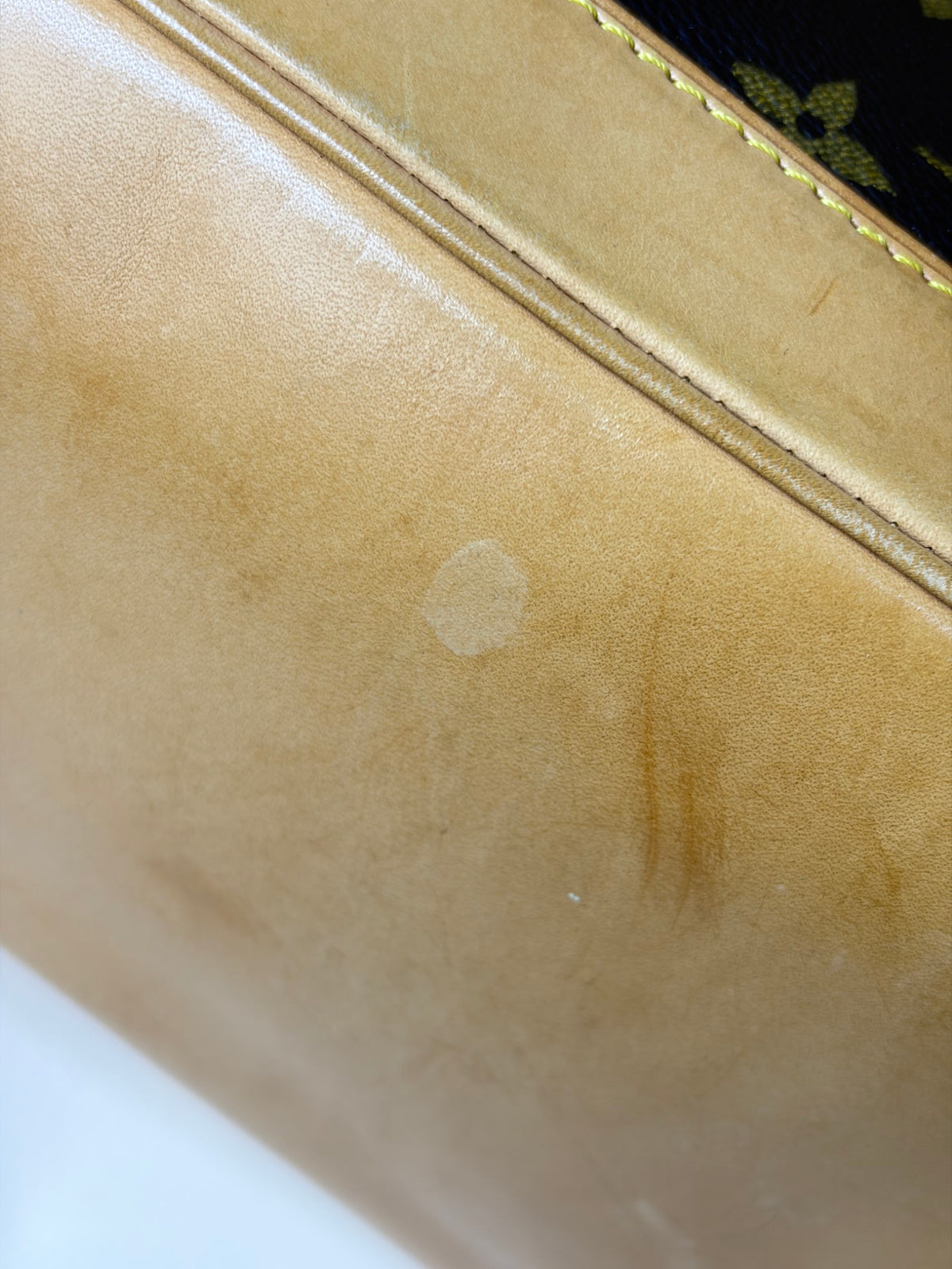 Louis Vuitton Monogram canvas Alma PM Bag